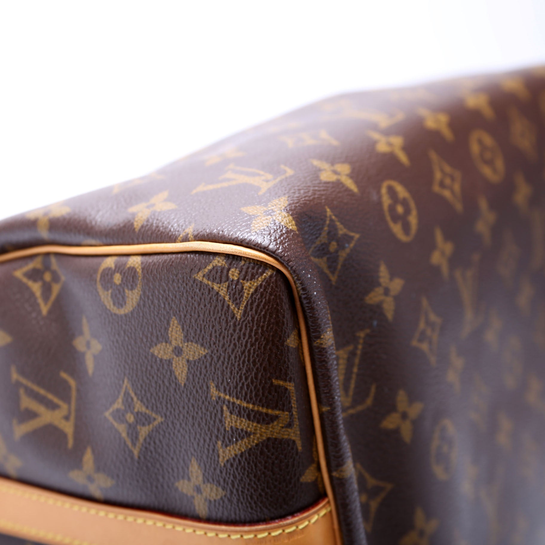 Speedy 30 Bandouliere Monogram