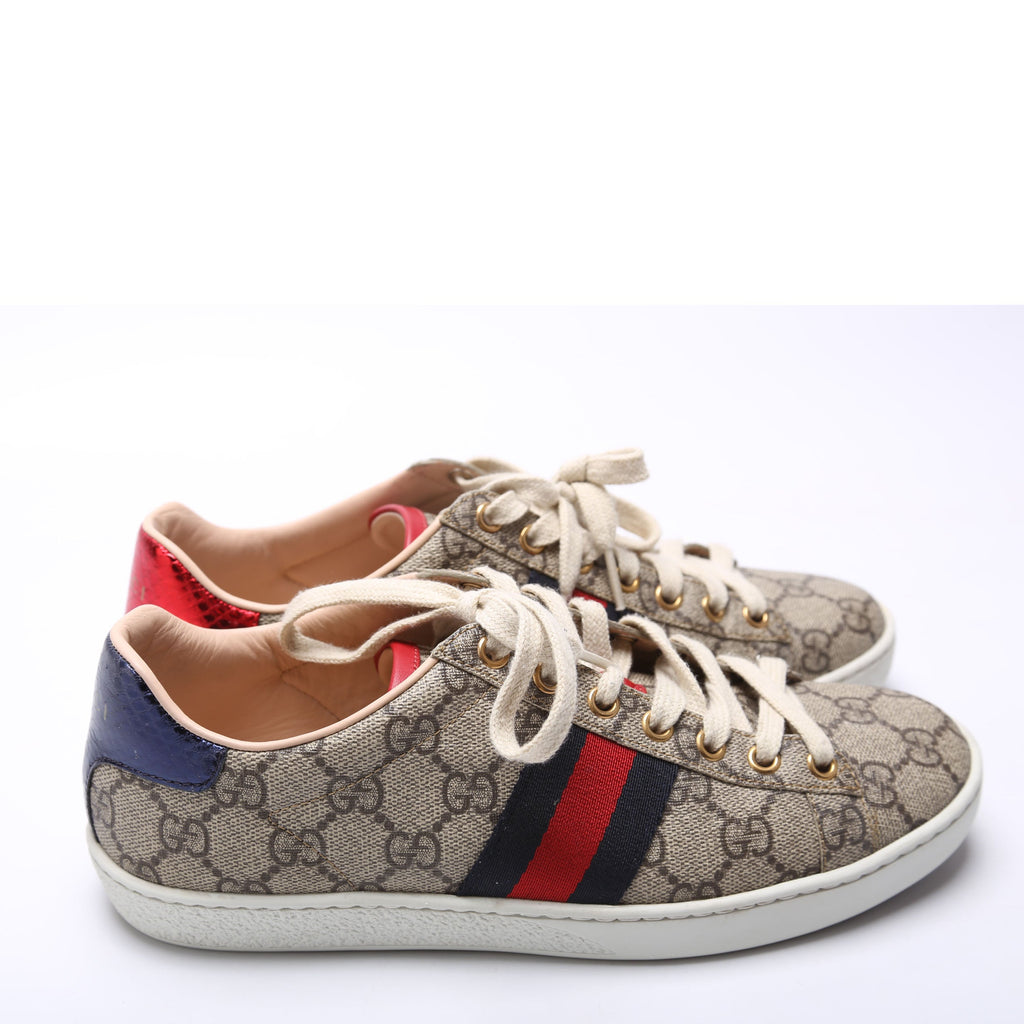 Ace Web GG Supreme Sneakers Size 37