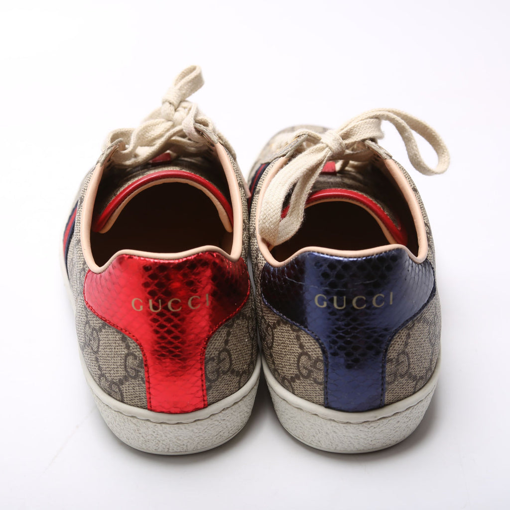 Ace Web GG Supreme Sneakers Size 37