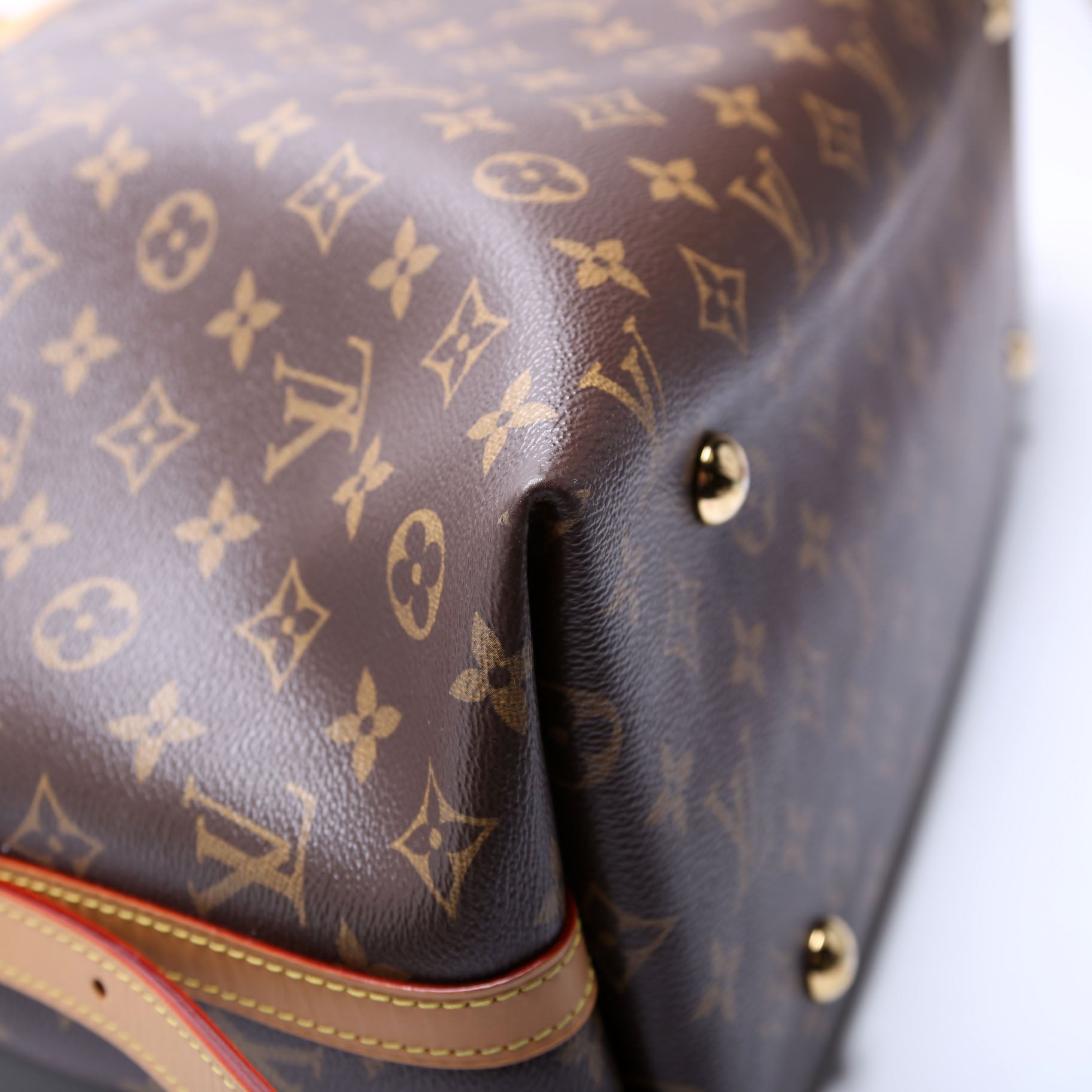 Carryall MM NM Monogram