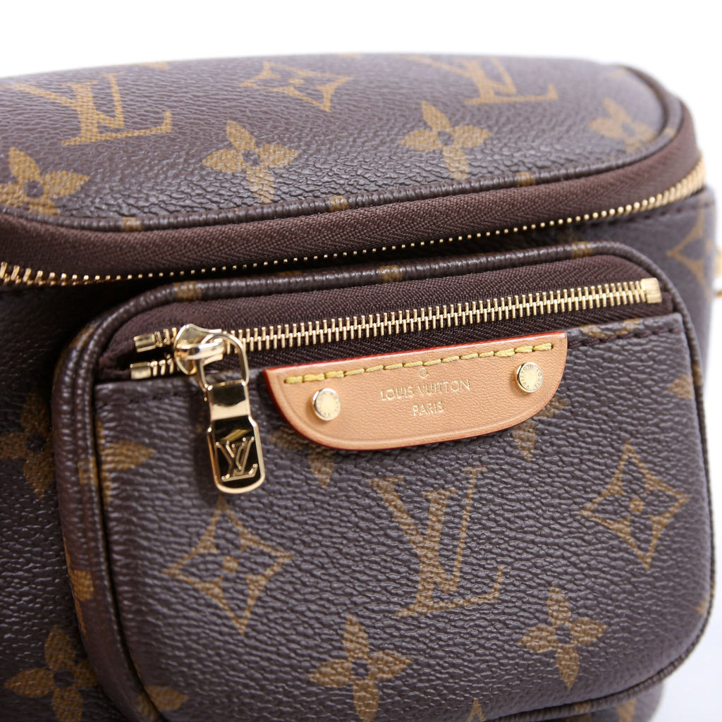 Mini Bumbag Monogram
