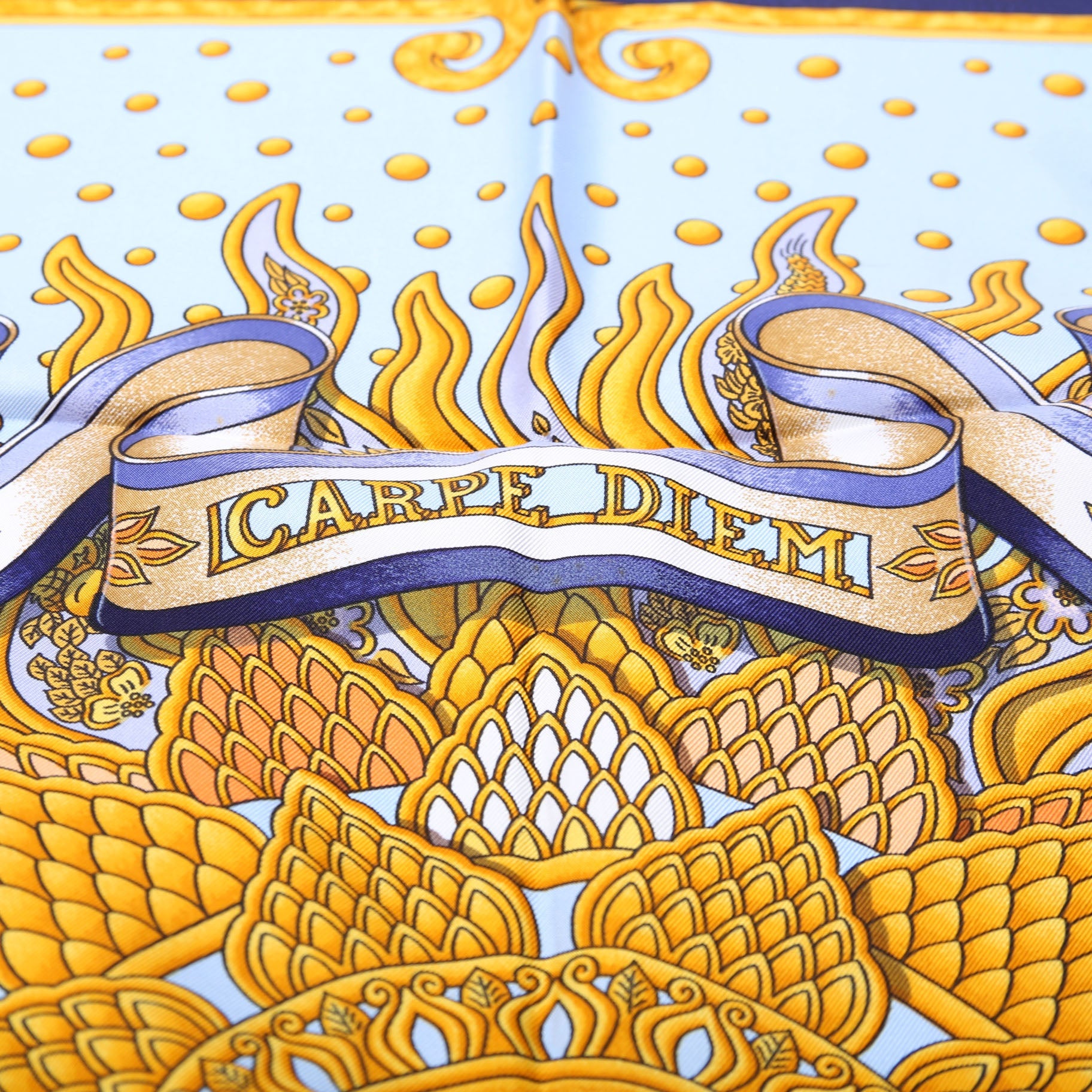 Carpe Diem Silk Scarf Blue/Multicolor
