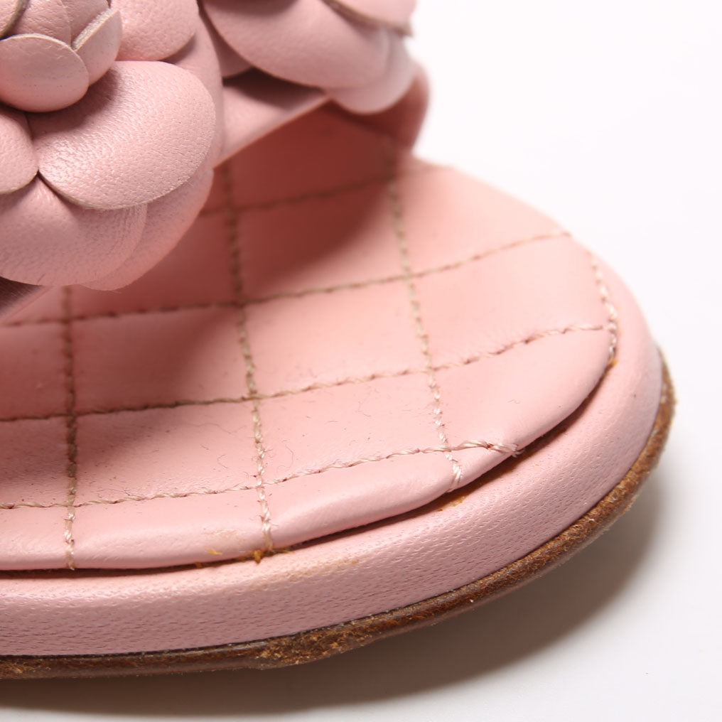 Camellia Flat Sandals Lambskin Size 36.5 Pink