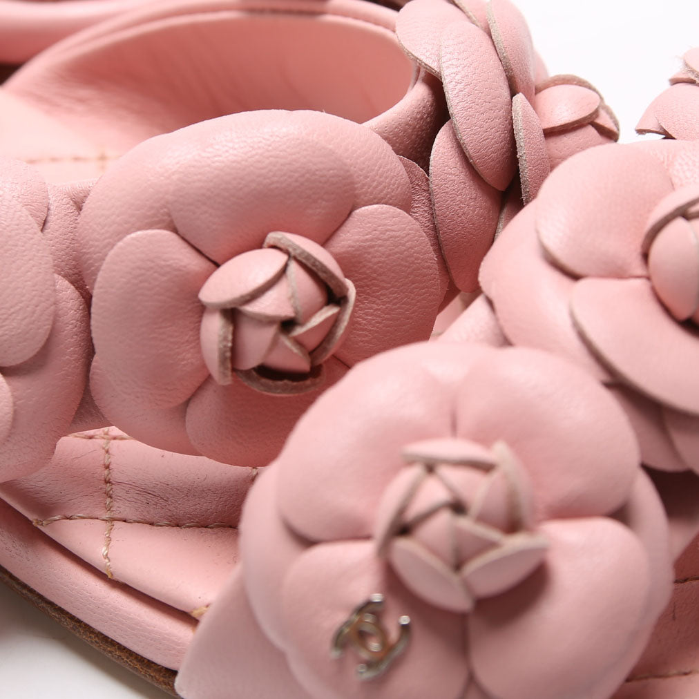 Camellia Flat Sandals Lambskin Size 36.5 Pink