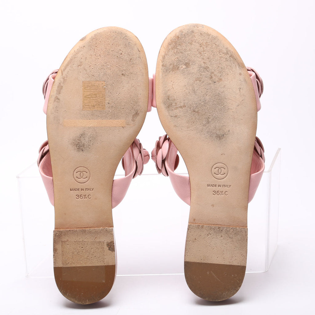Camellia Flat Sandals Lambskin Size 36.5 Pink