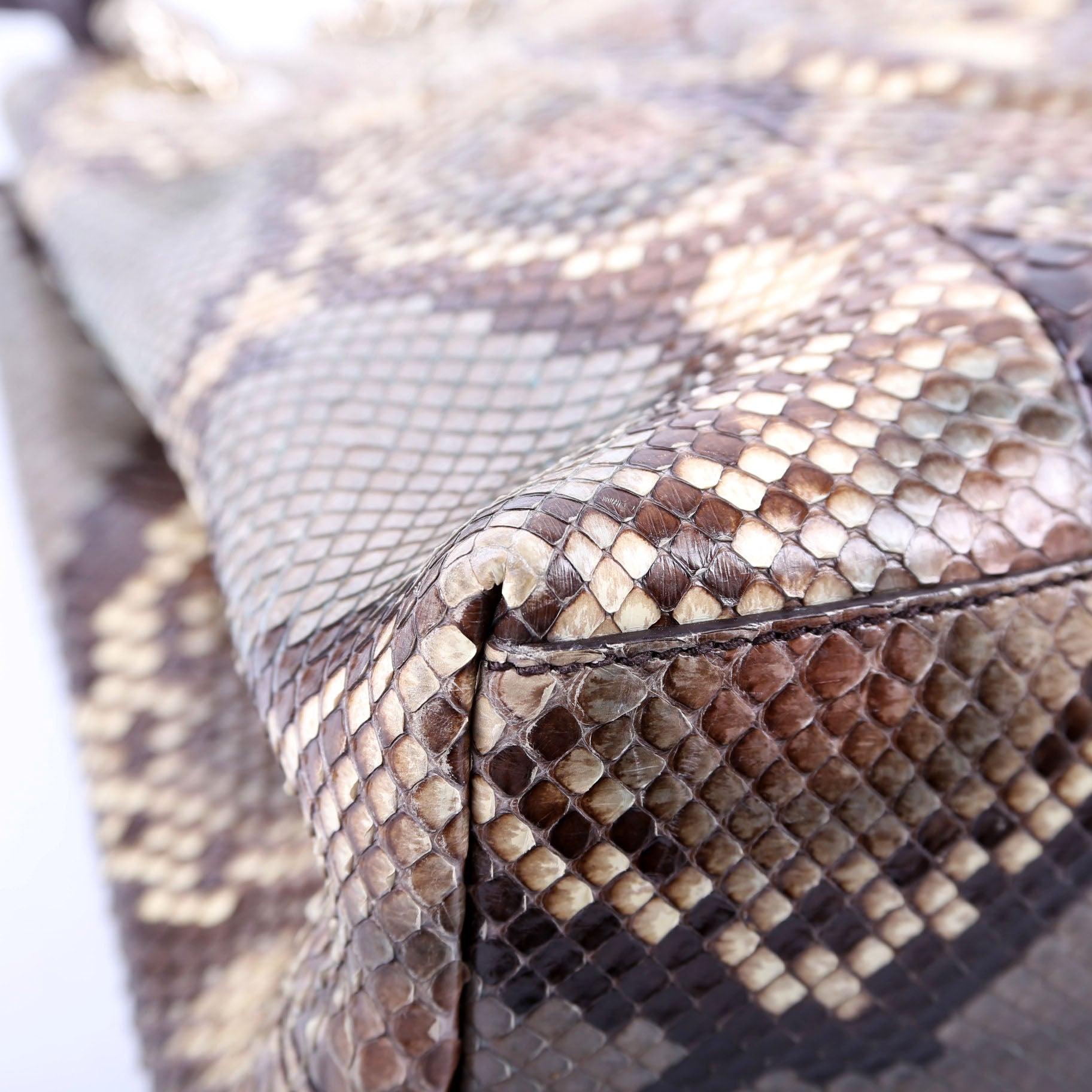 Soho Python Shoulder Medium