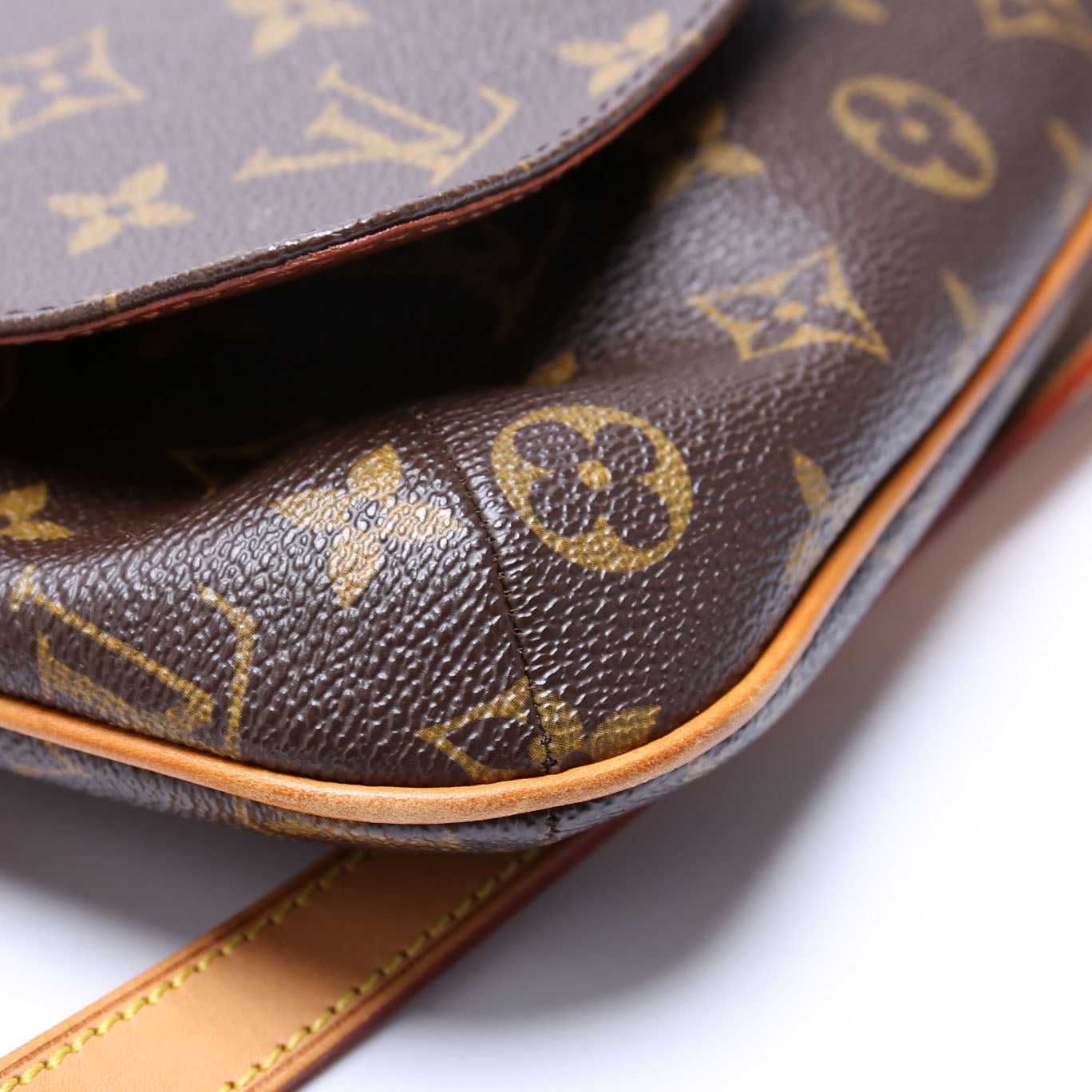 Musette Salsa Long Monogram