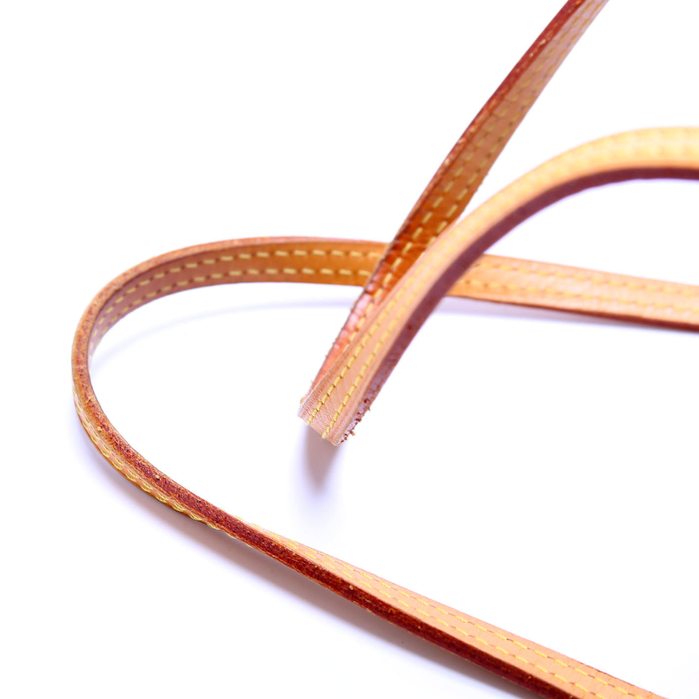 Neverfull PM Monogram