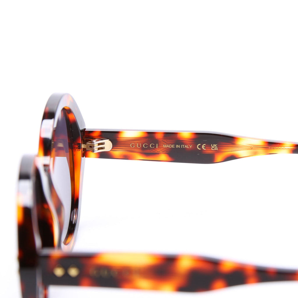GG1081S Round Acetate Sunglasses Brown