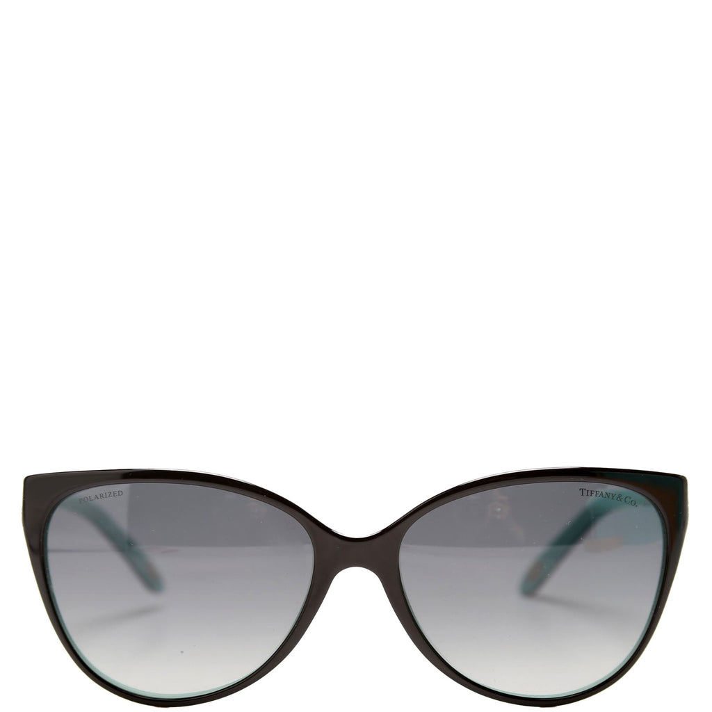 TF4089B Limited Edition Sunglasses Black/Teal