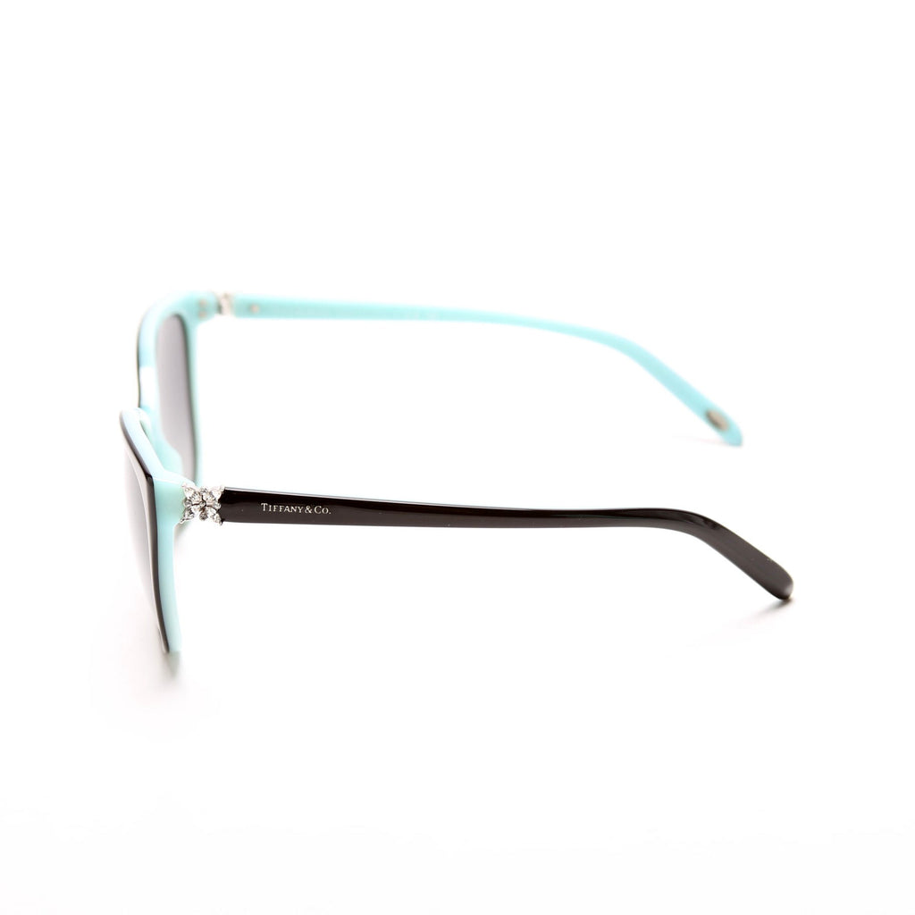 TF4089B Limited Edition Sunglasses Black/Teal