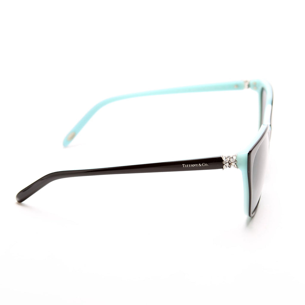 TF4089B Limited Edition Sunglasses Black/Teal