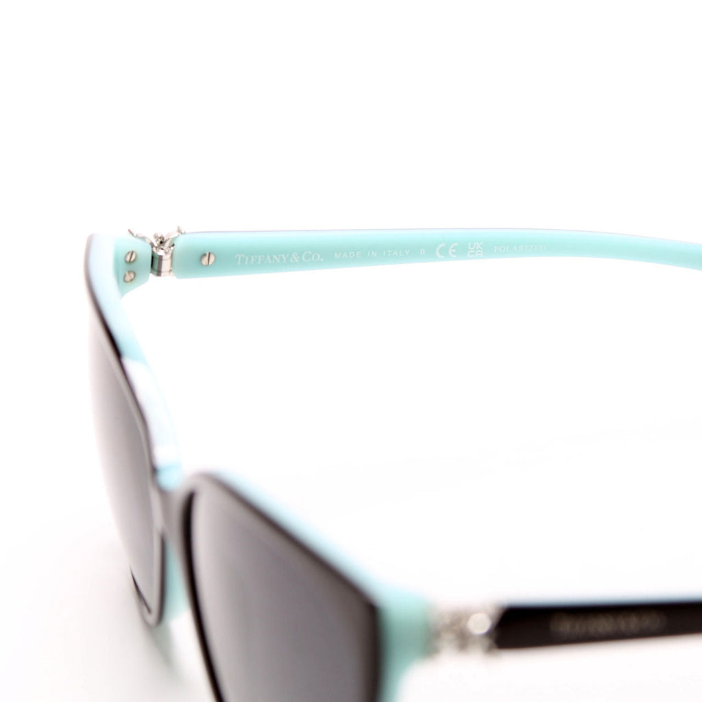 TF4089B Limited Edition Sunglasses Black/Teal