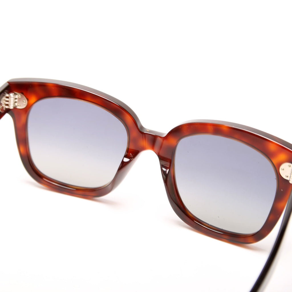 CL4002UN Square Sunglasses Brown