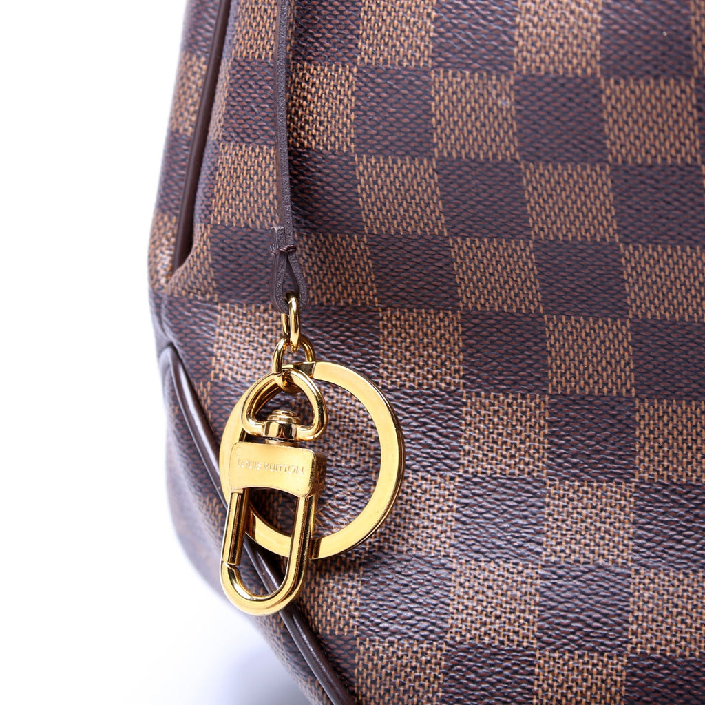 Delightful PM Damier Ebene