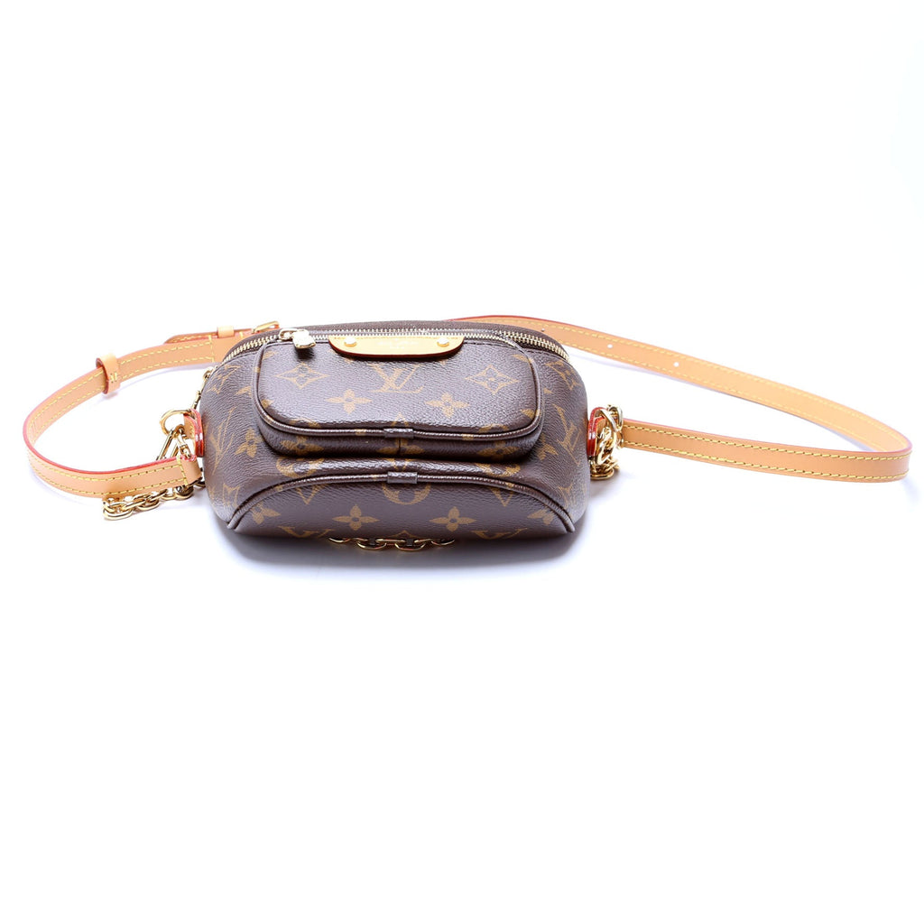 Mini Bumbag Monogram