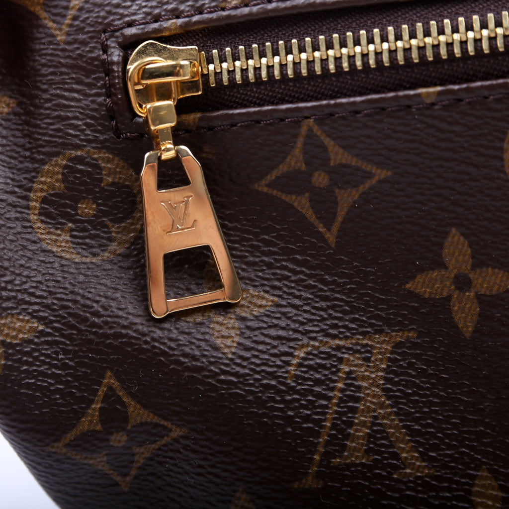 Bumbag Monogram