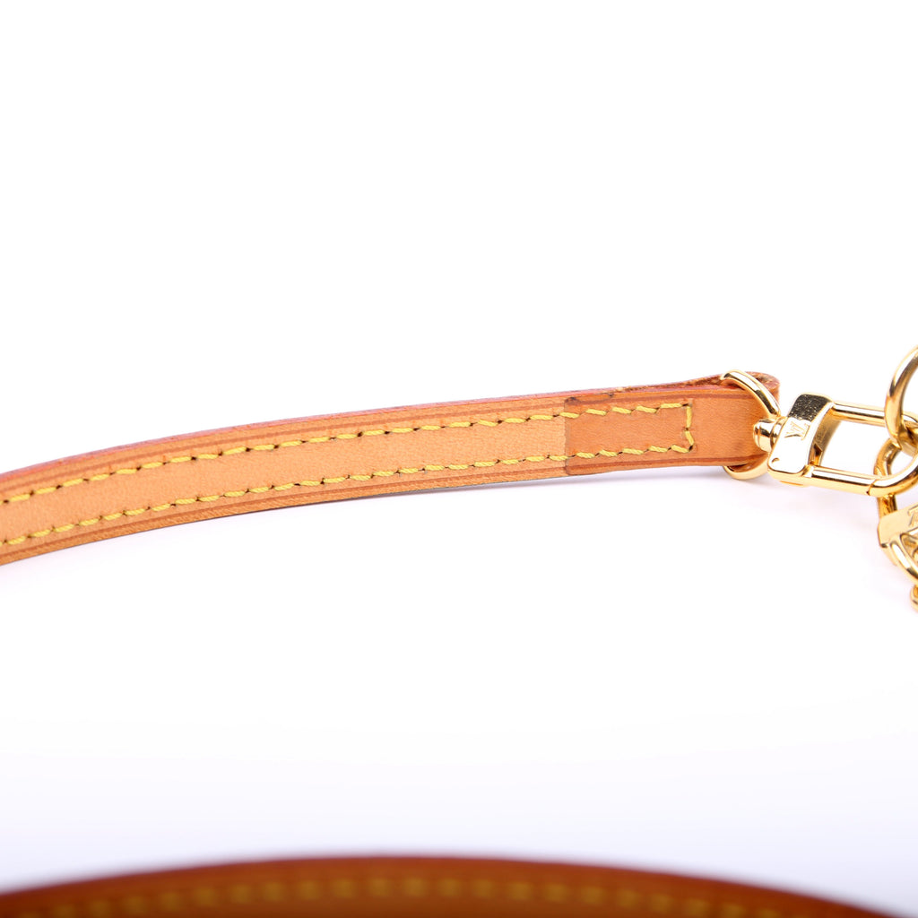 Eva Clutch Monogram