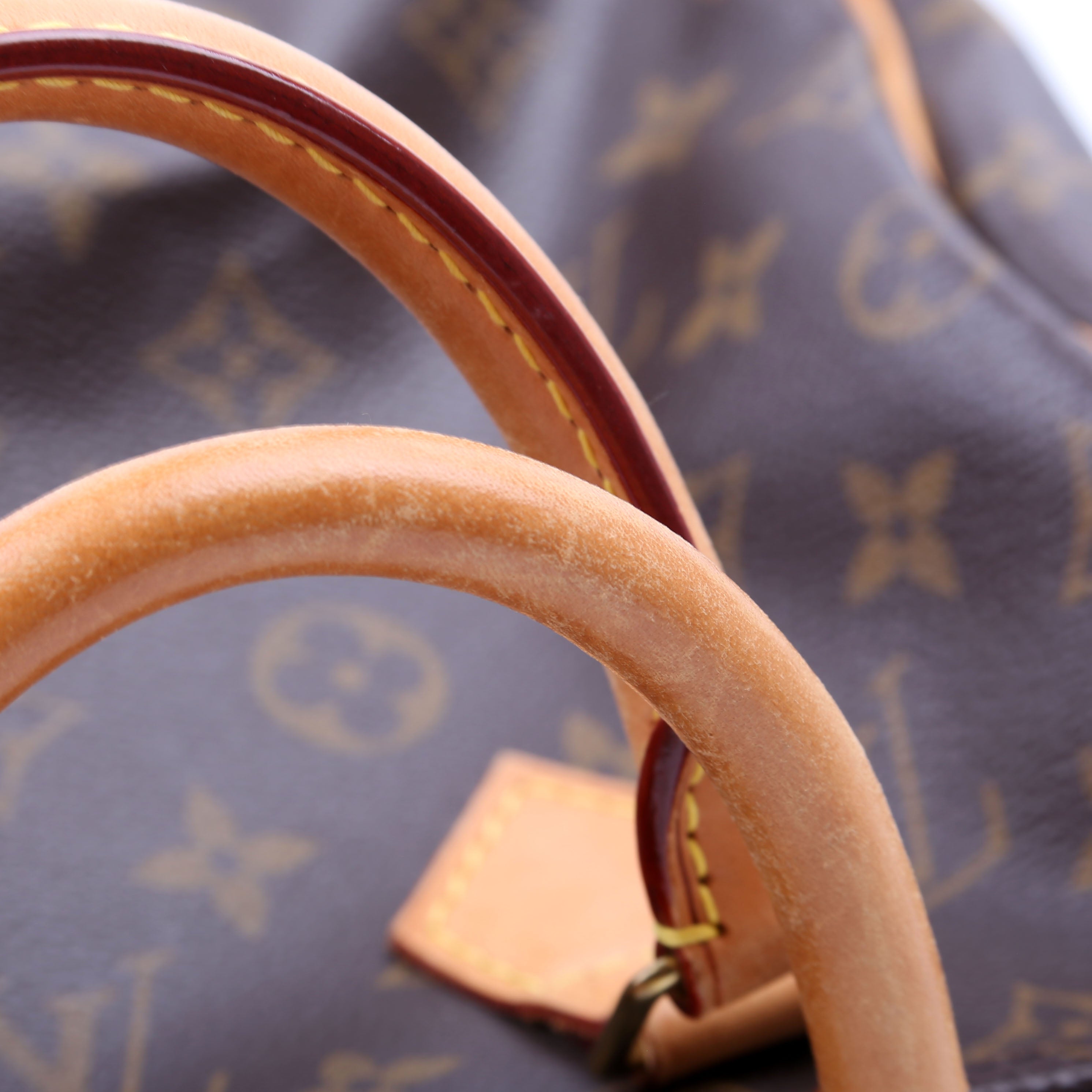 Speedy 25 Bandouliere Monogram