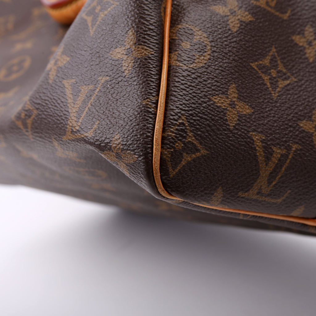 Speedy 30 Bandouliere Monogram