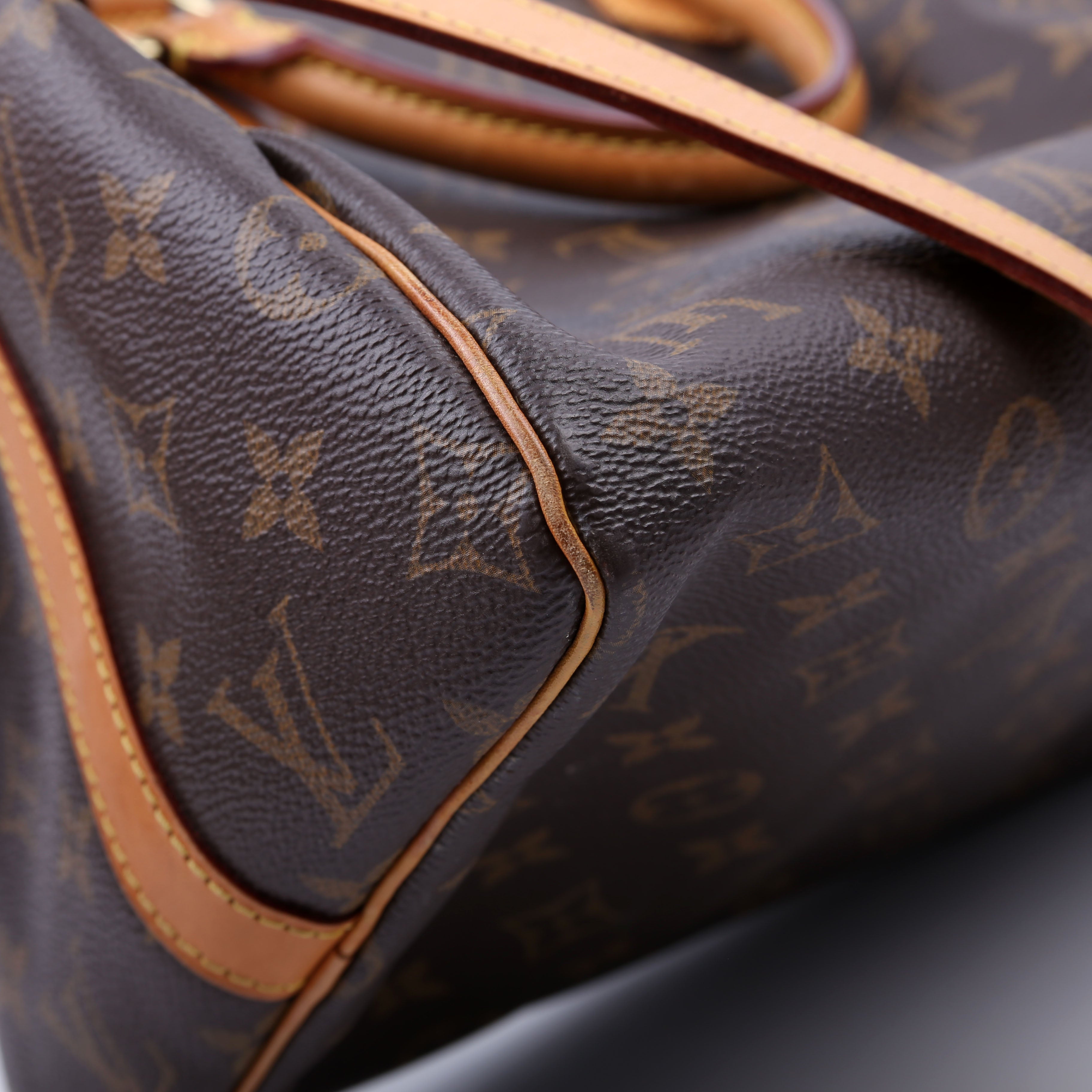 Speedy 30 Bandouliere Monogram