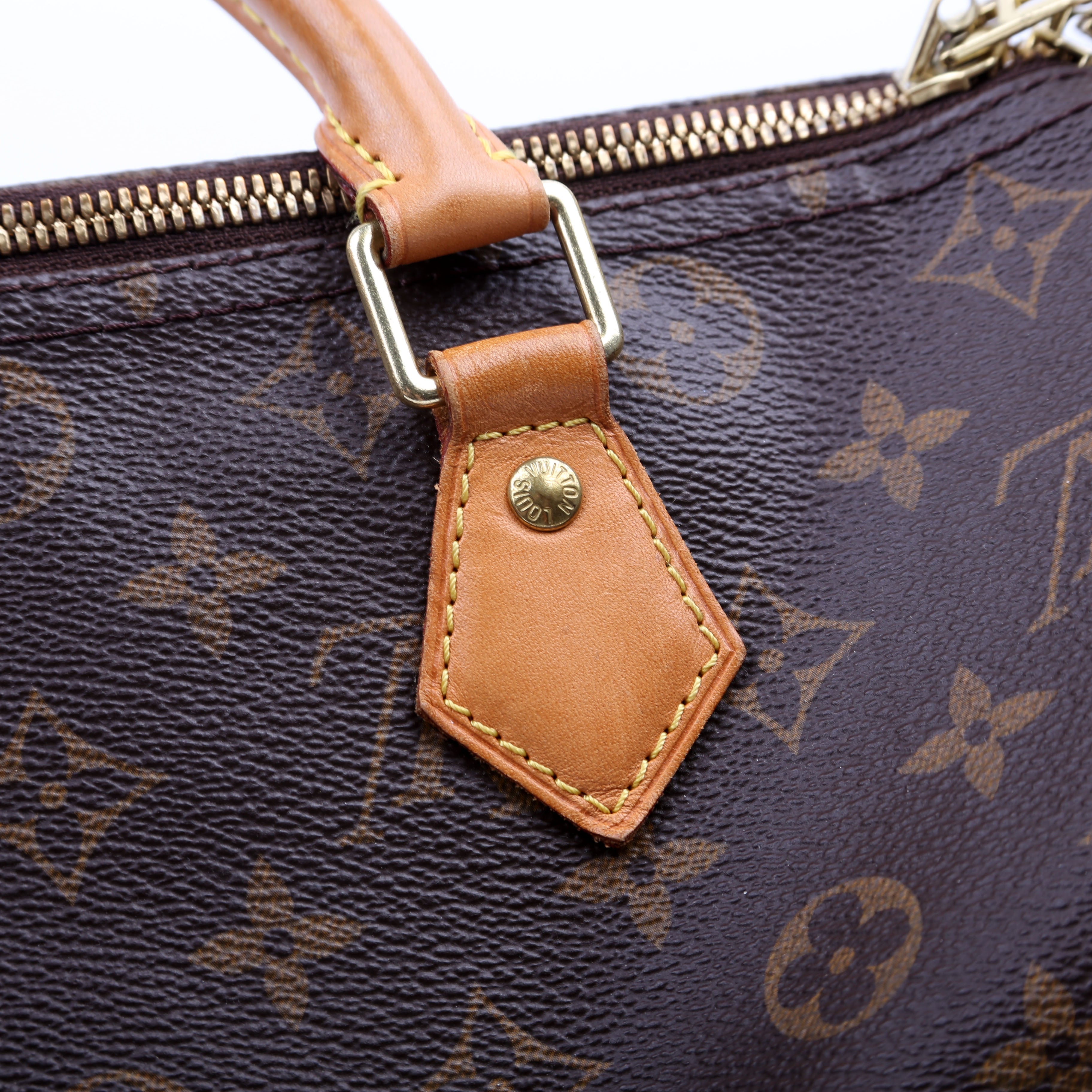 Speedy 30 Bandouliere Monogram