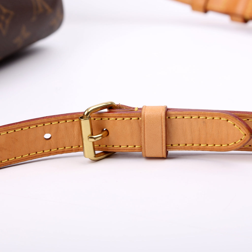Speedy 30 Bandouliere Monogram