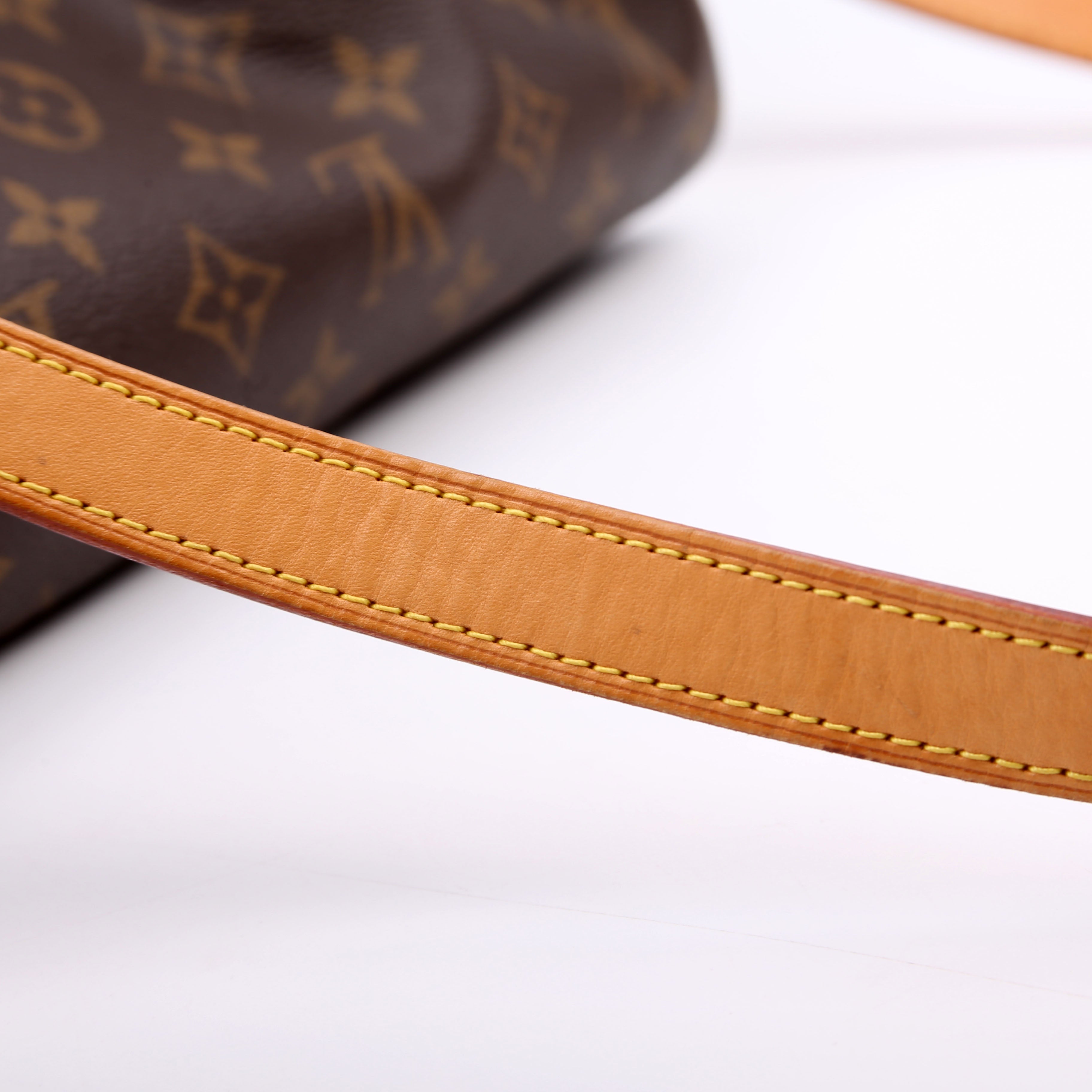 Speedy 30 Bandouliere Monogram
