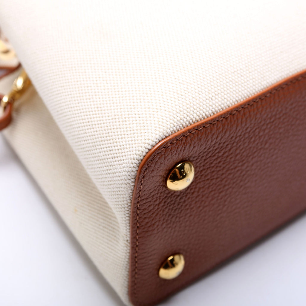 Capucines MM Taurillon Canvas Brown/Beige