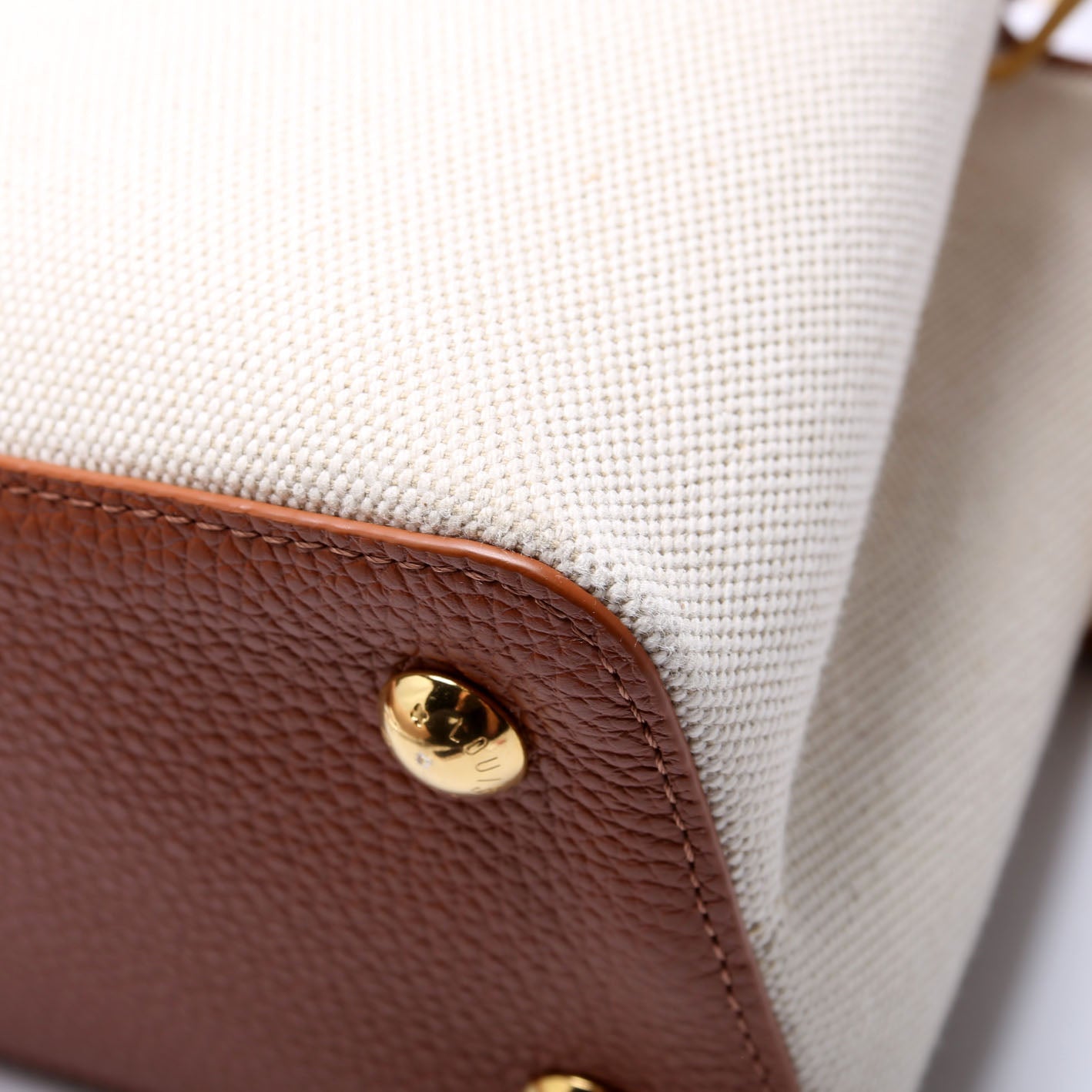 Capucines MM Taurillon Canvas Brown/Beige