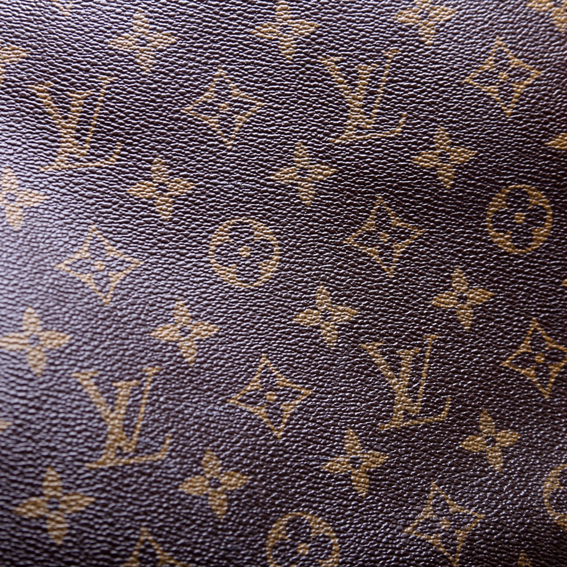 Neverfull GM Monogram
