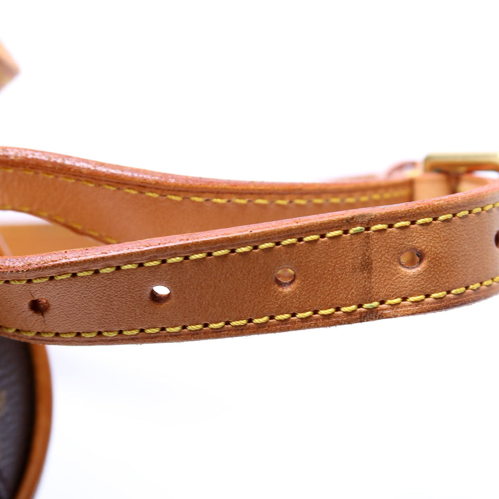 Ellipse Backpack Monogram