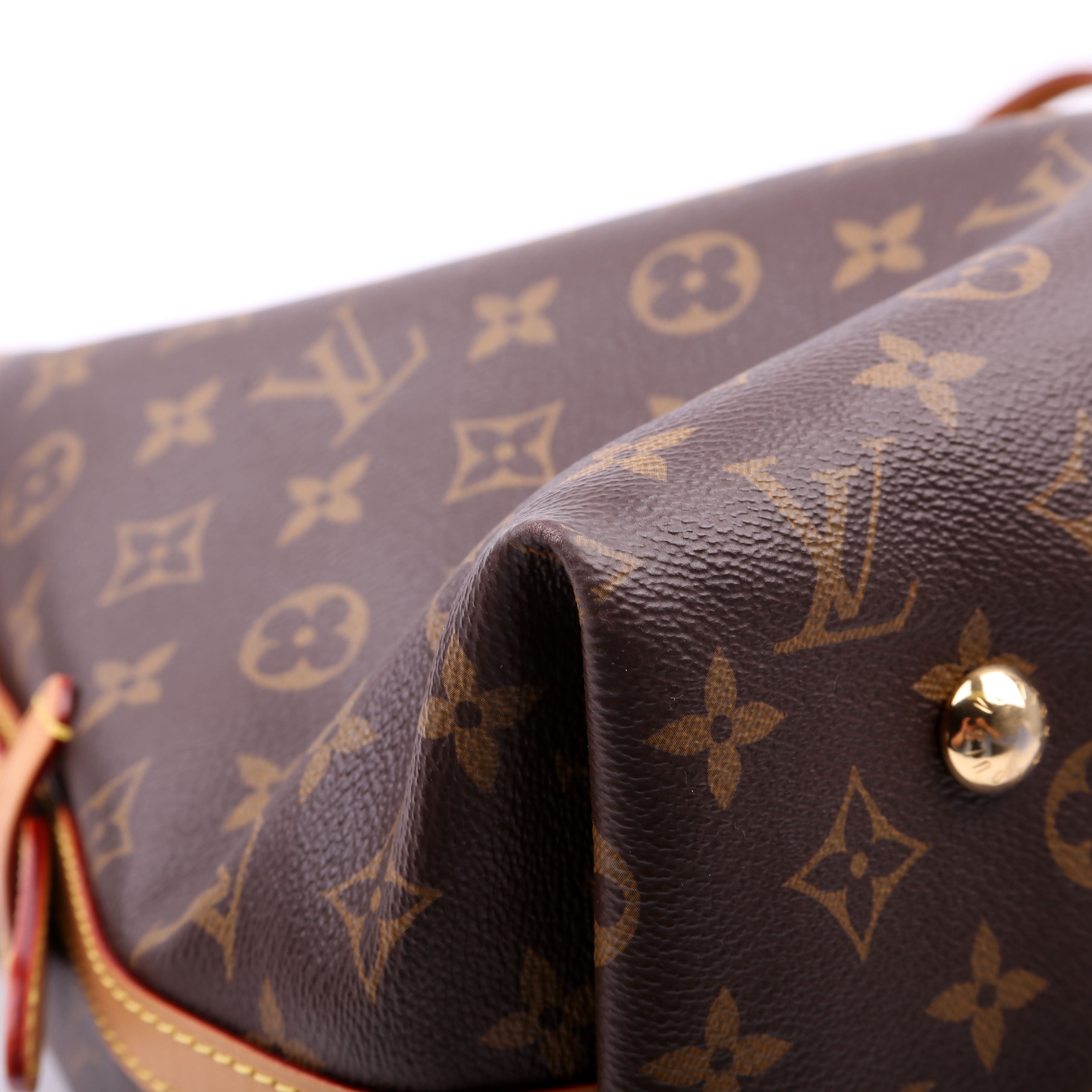 Carryall MM NM Monogram