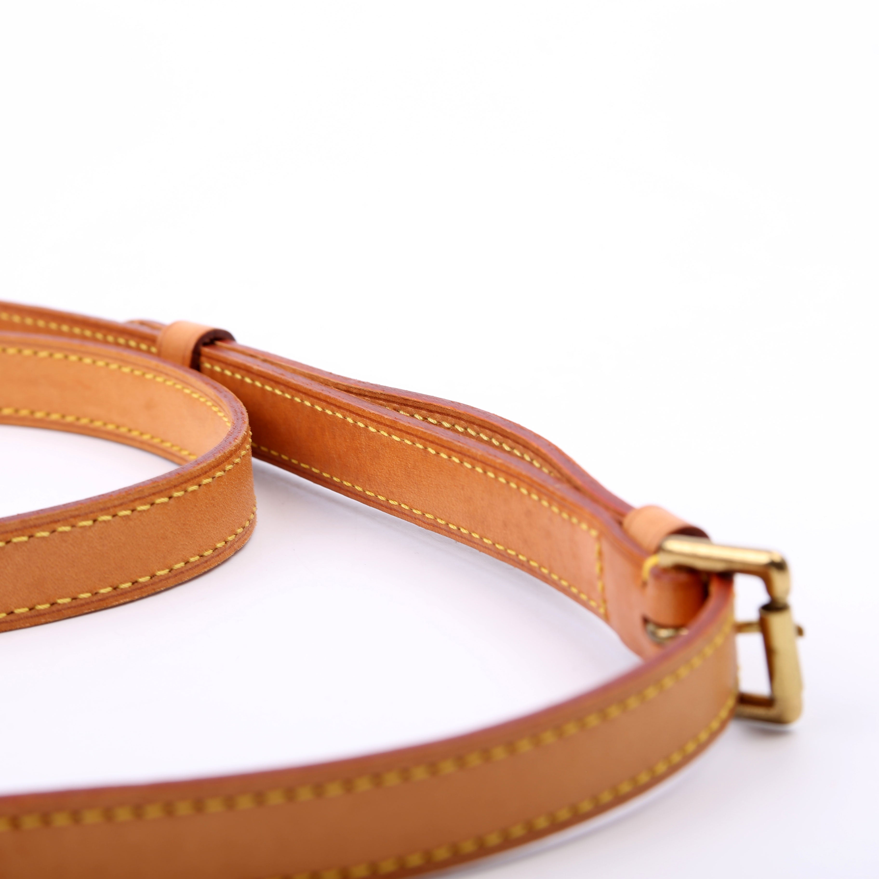 Musette Salsa Long Monogram
