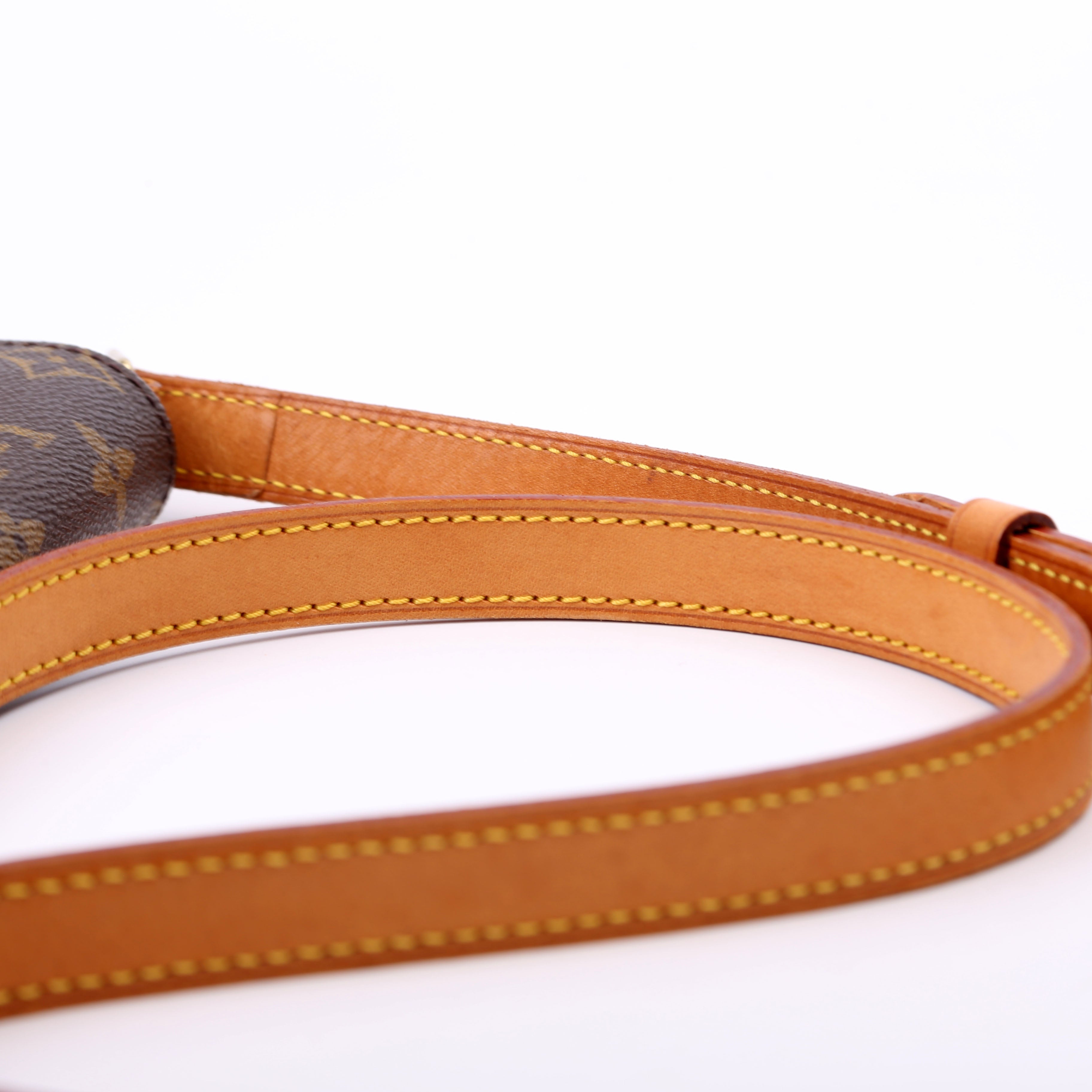 Musette Salsa Long Monogram