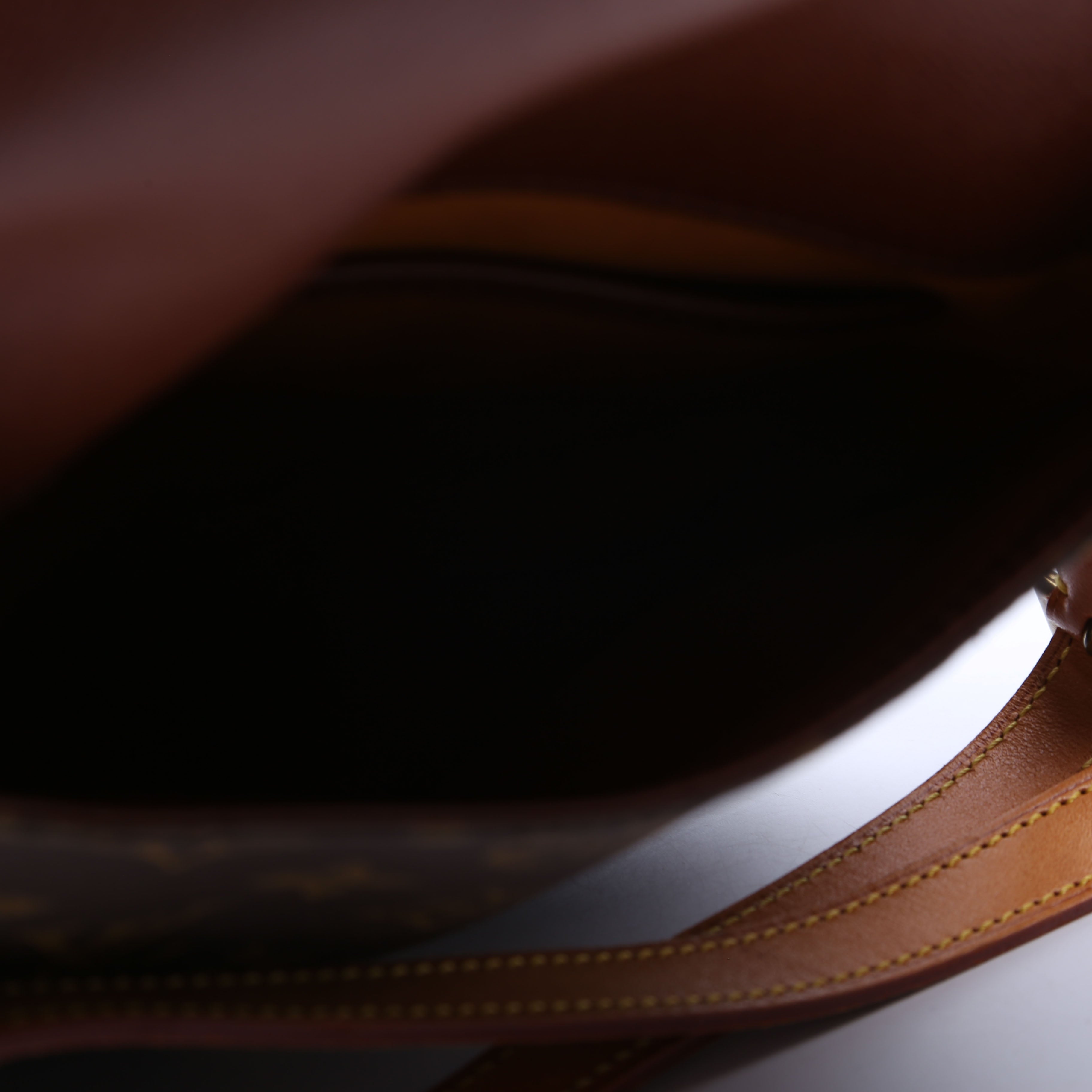 Musette Salsa Long Monogram