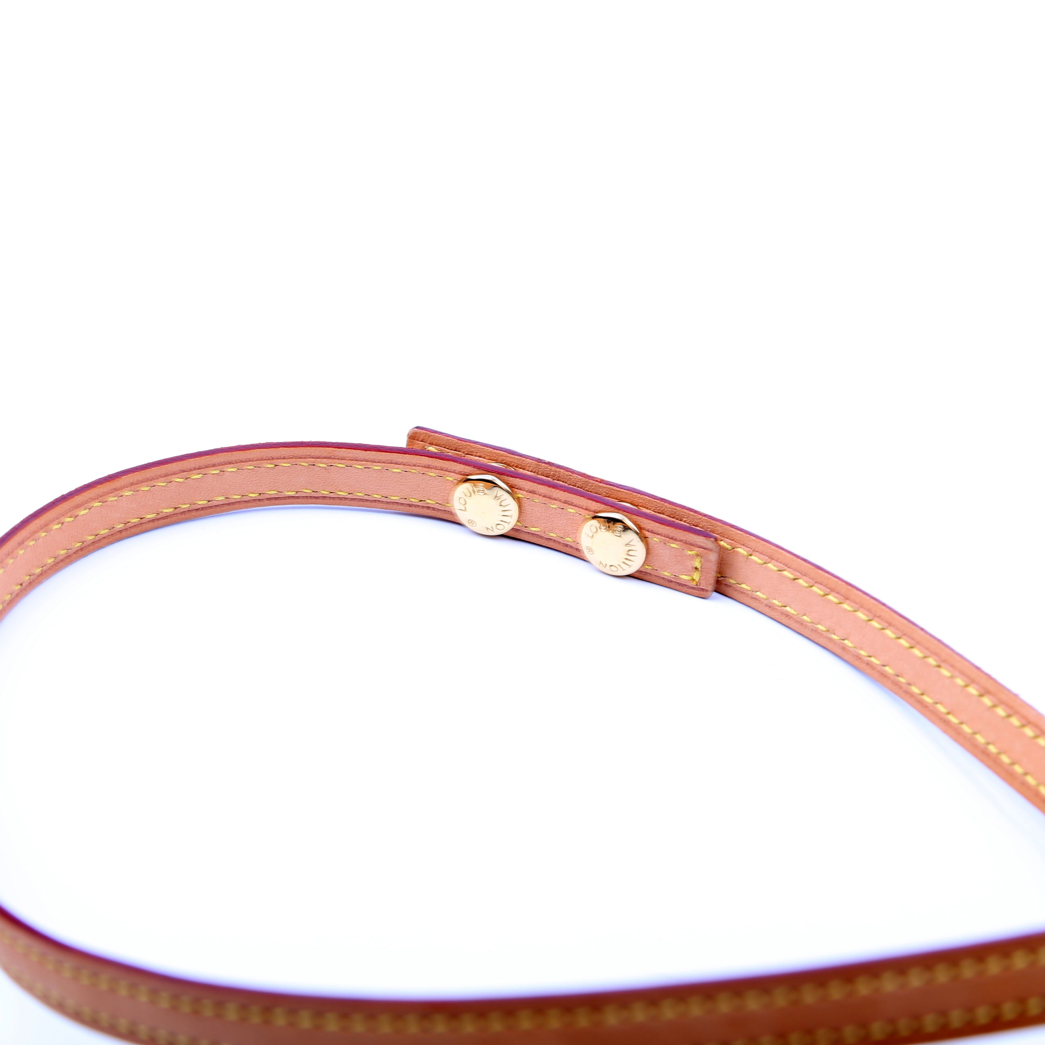 Pochette Twin GM Monogram