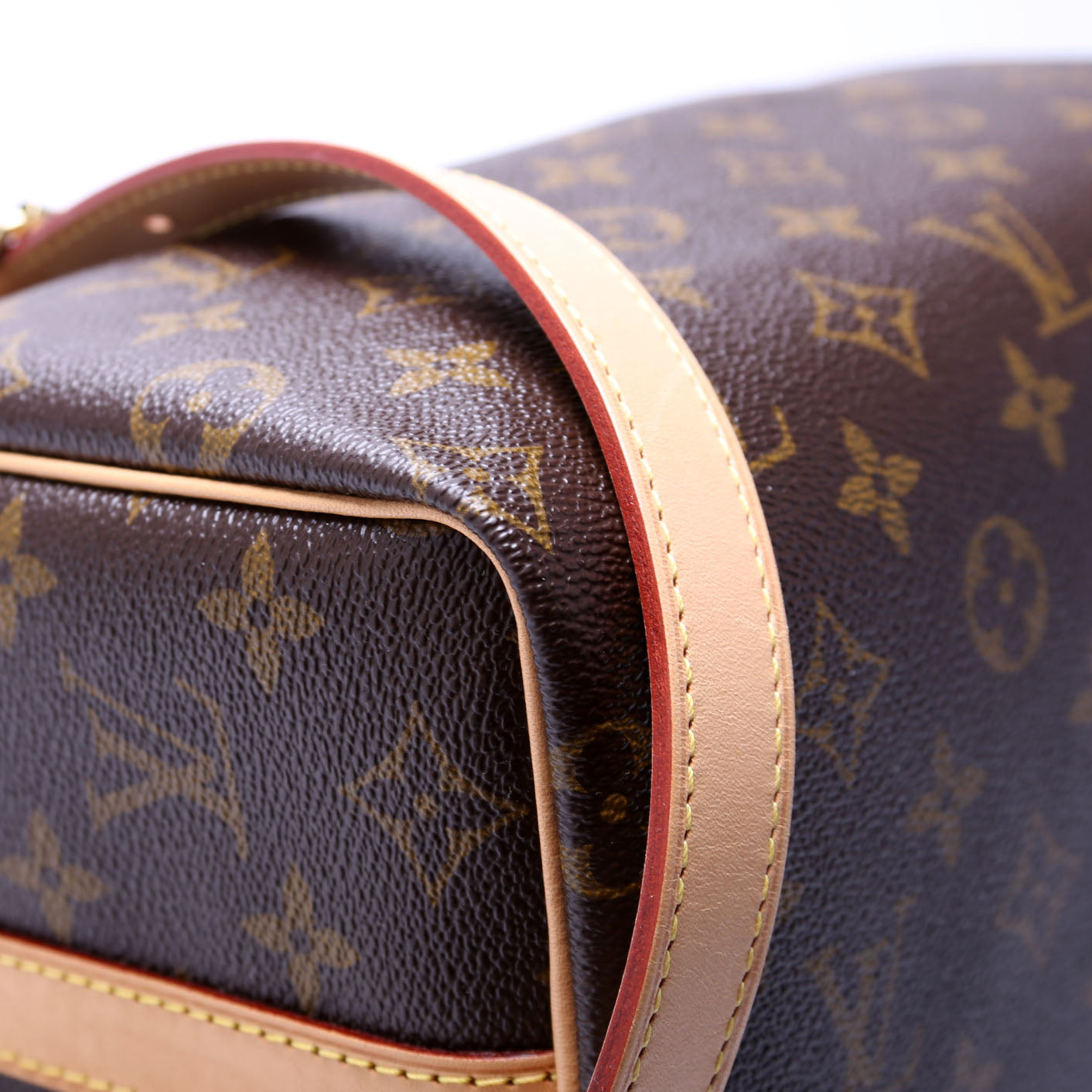Speedy 25 W/Strap Monogram