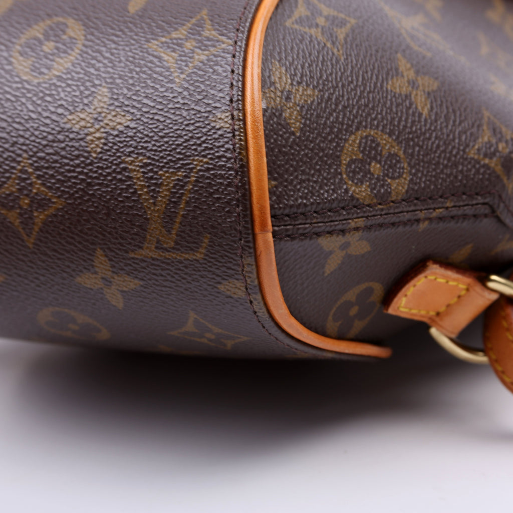 Ellipse Backpack Monogram