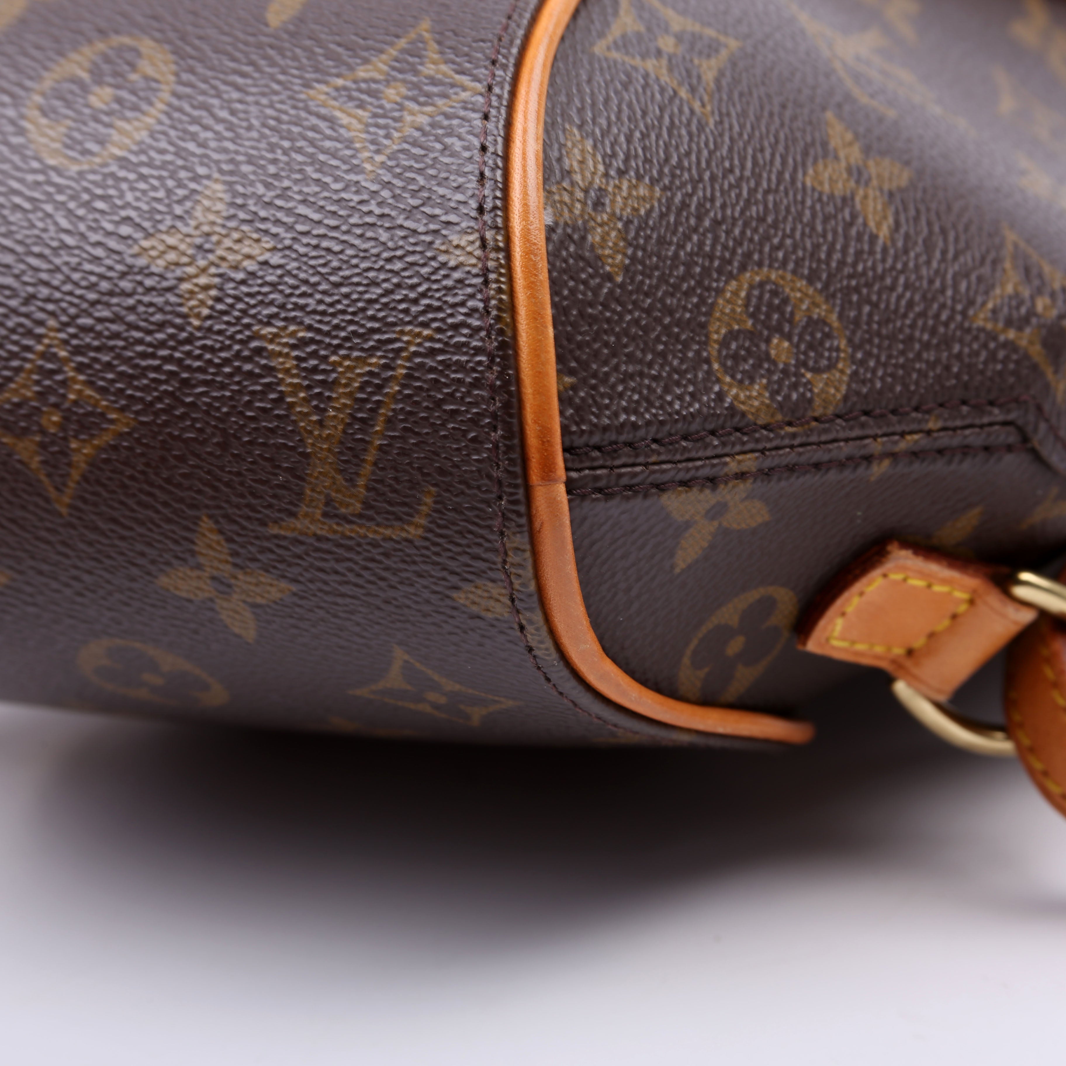 Ellipse Backpack Monogram