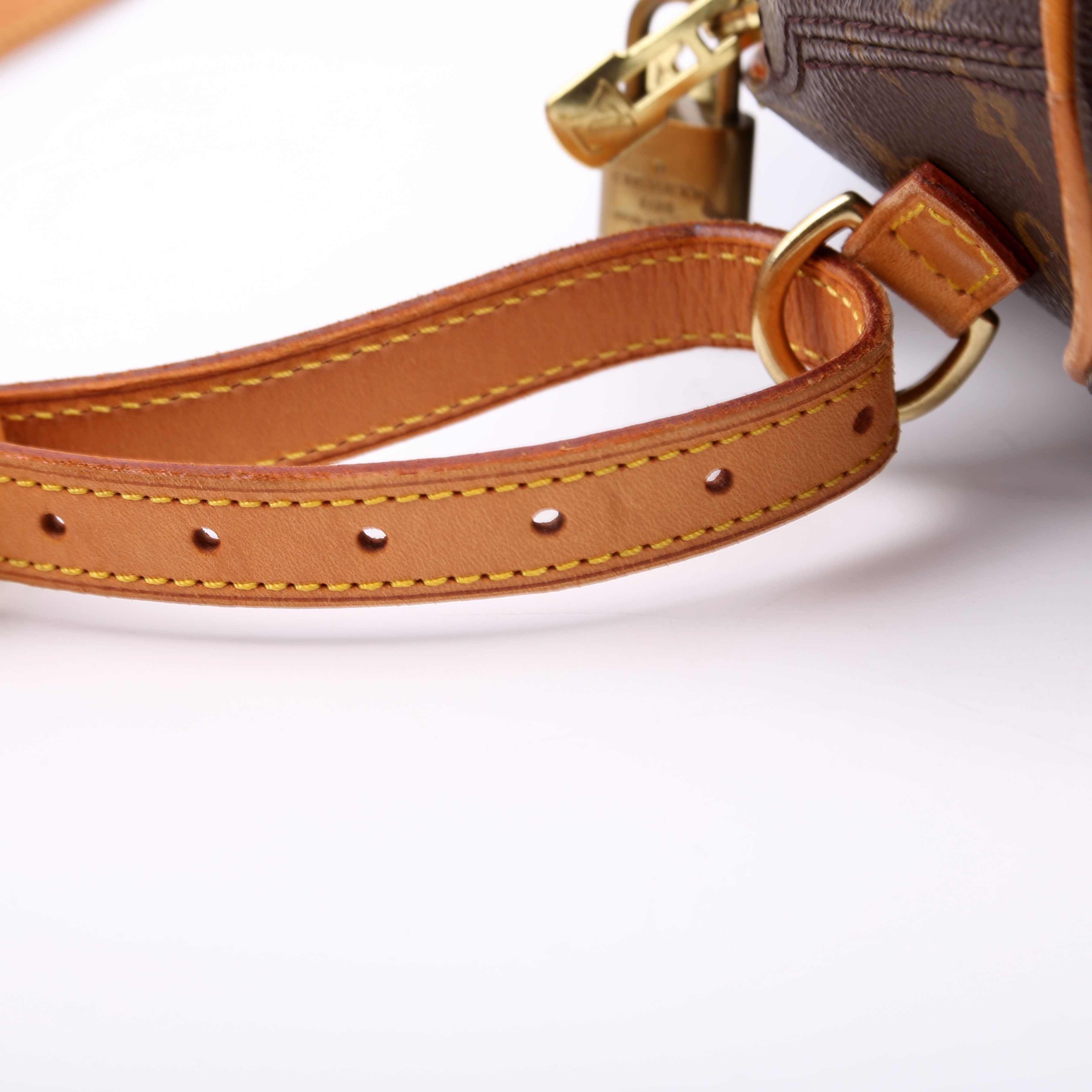 Ellipse Backpack Monogram