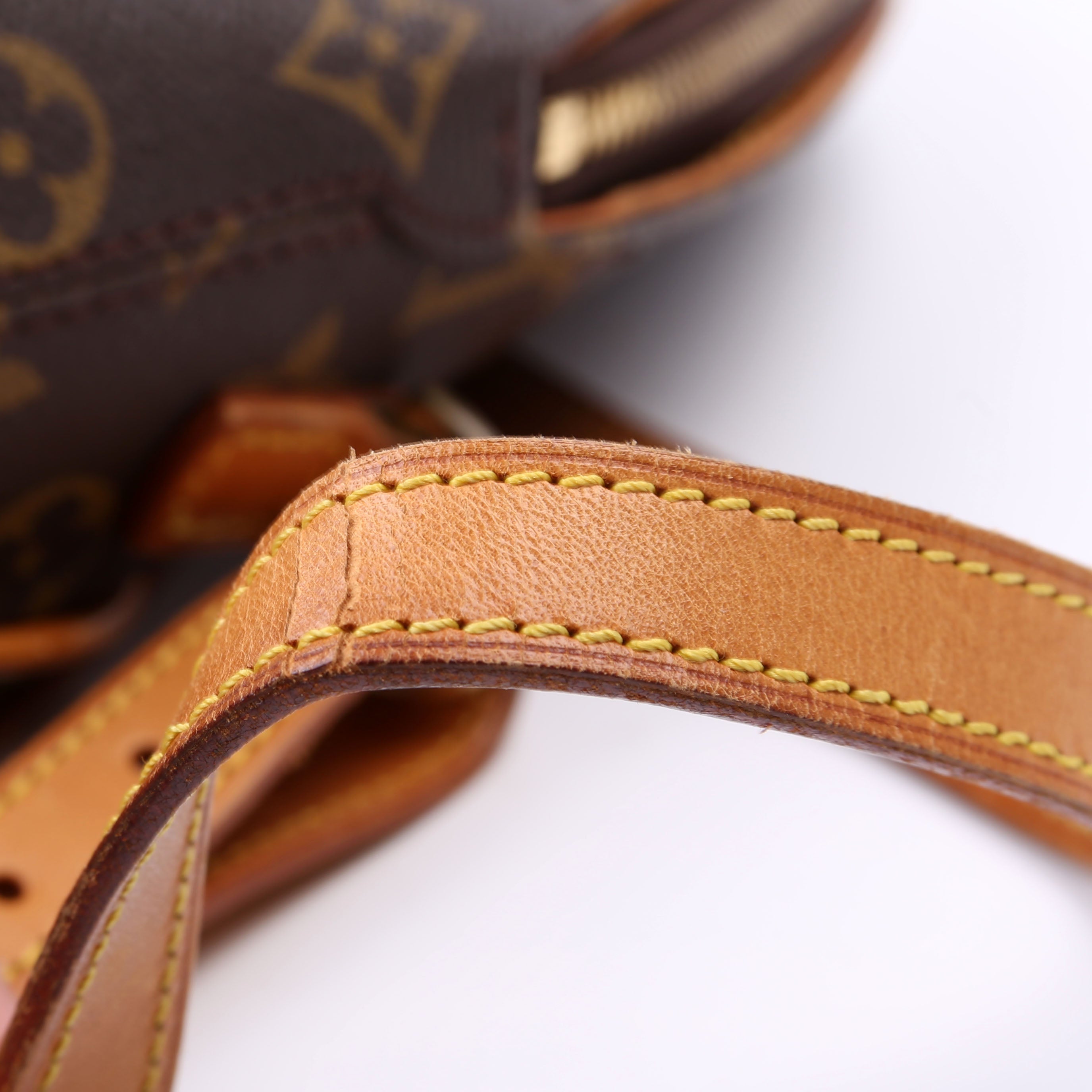 Ellipse Backpack Monogram