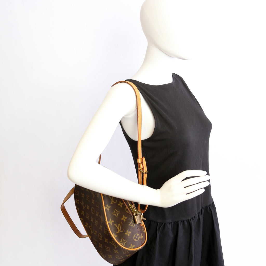 Ellipse Backpack Monogram