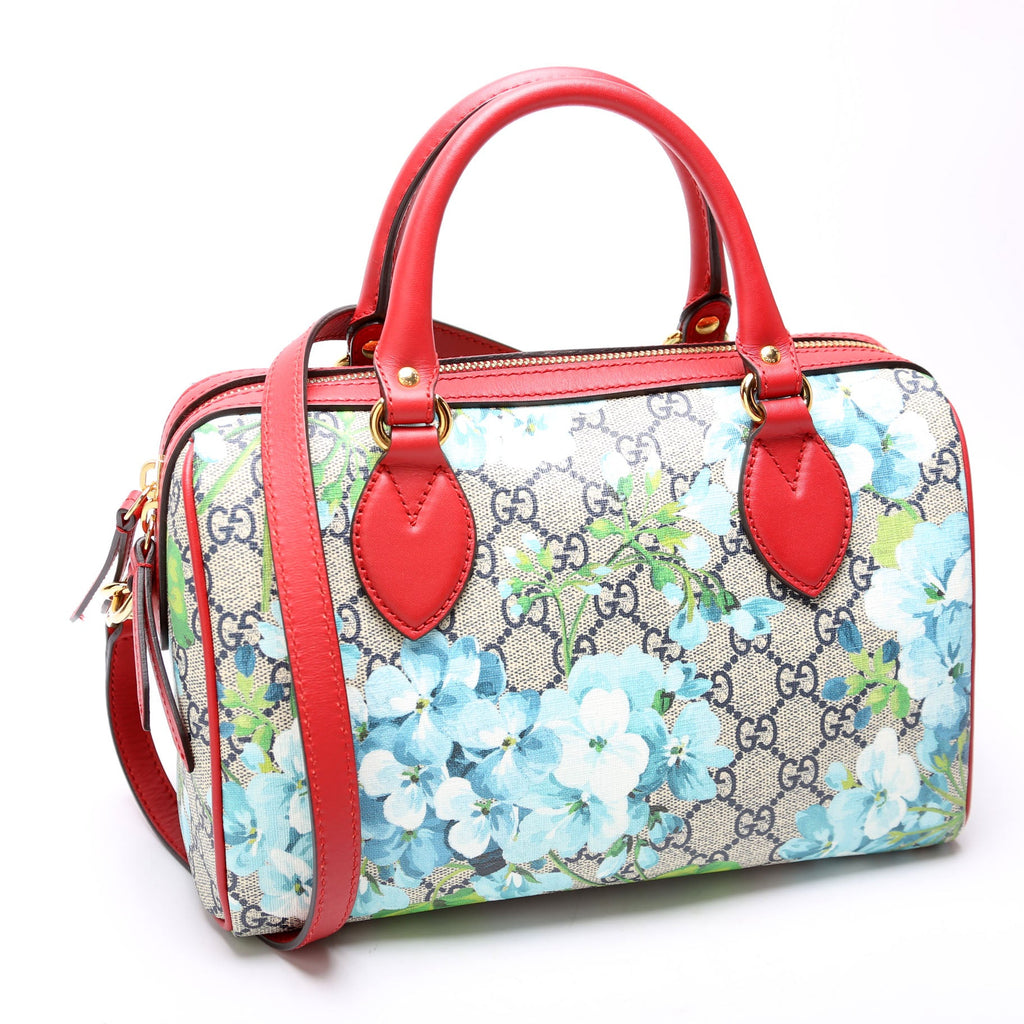 546314 Blooms Boston Small