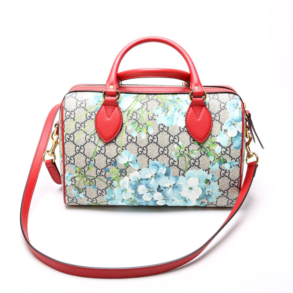 546314 Blooms Boston Small