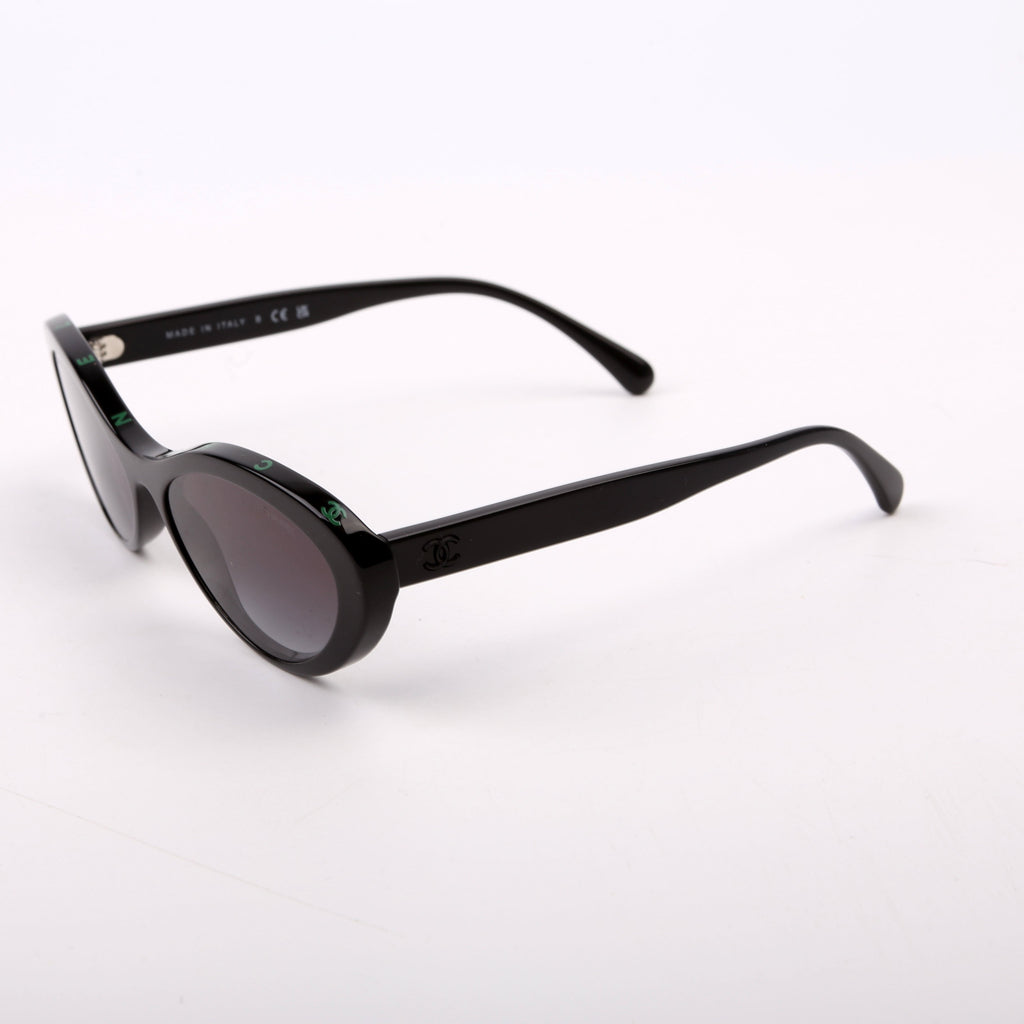 5416 Oval Acetate Polarized Sunglasses Black
