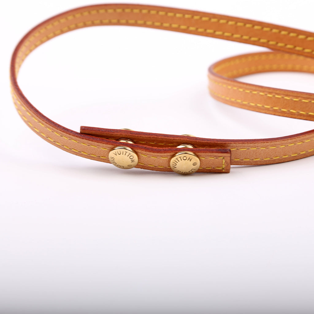 Pochette Twin GM Monogram