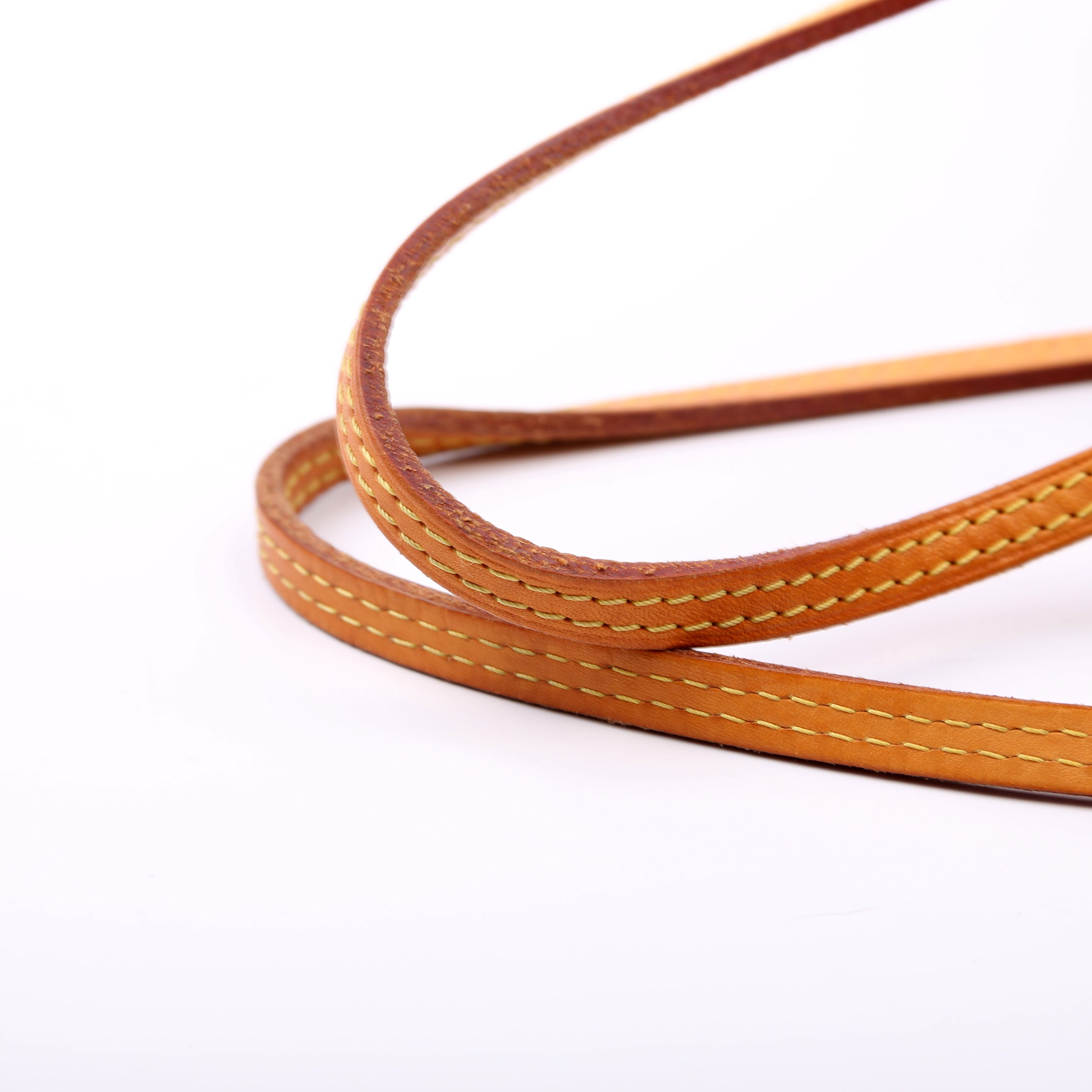 Neverfull GM Monogram