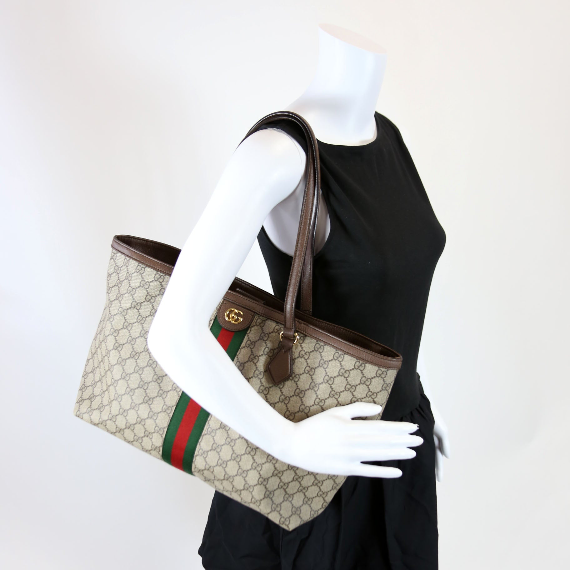 631685 Ophidia Tote Brown
