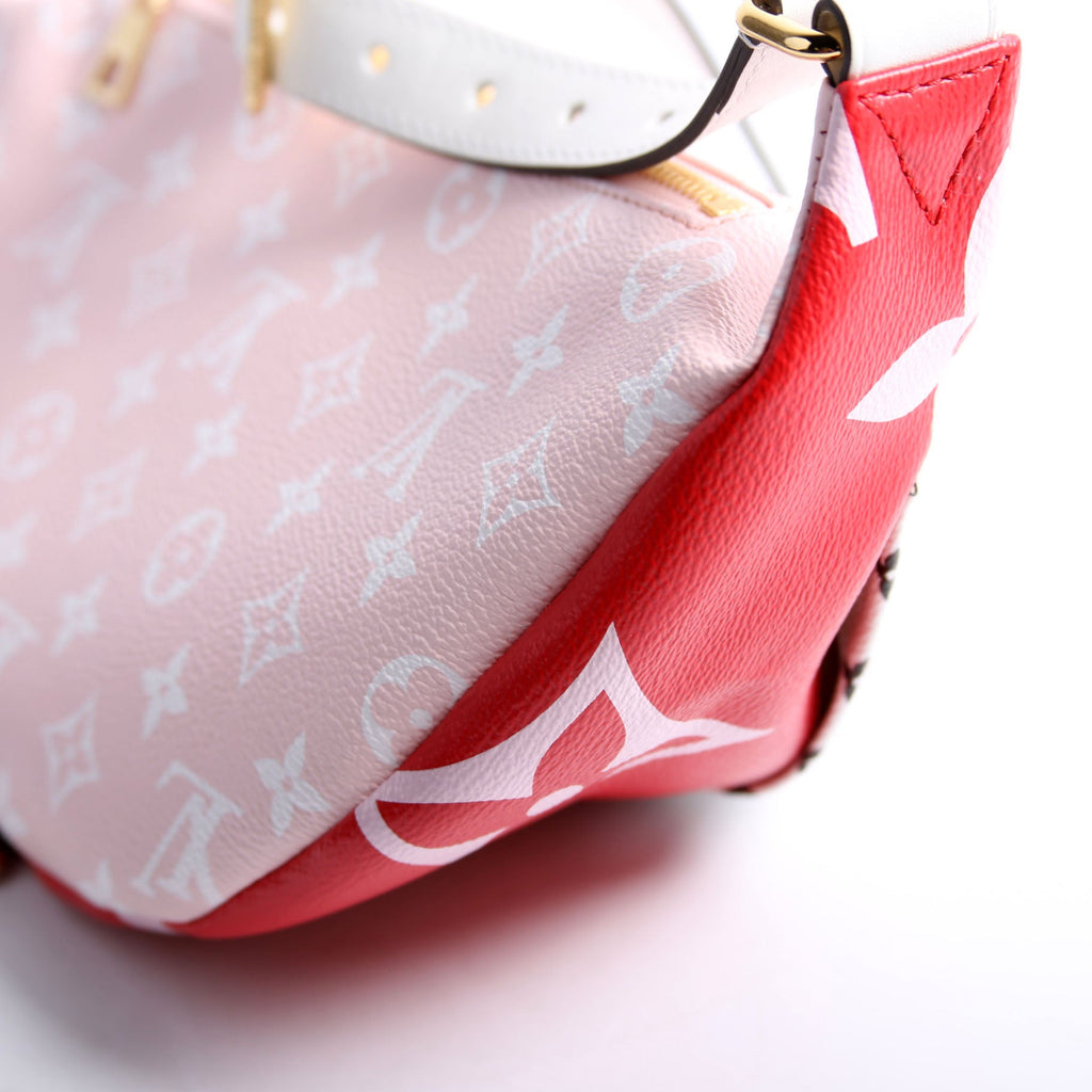 Bumbag Giant Monogram Multicolor